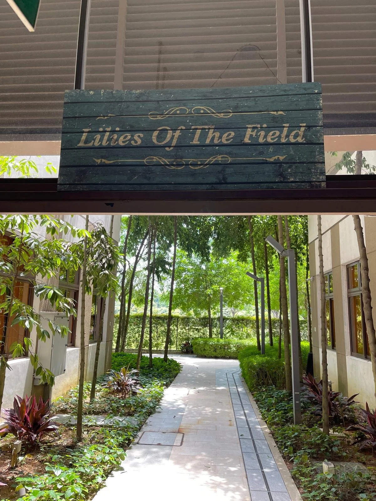 St Andrew's Nursing Home transformed senior engagement space