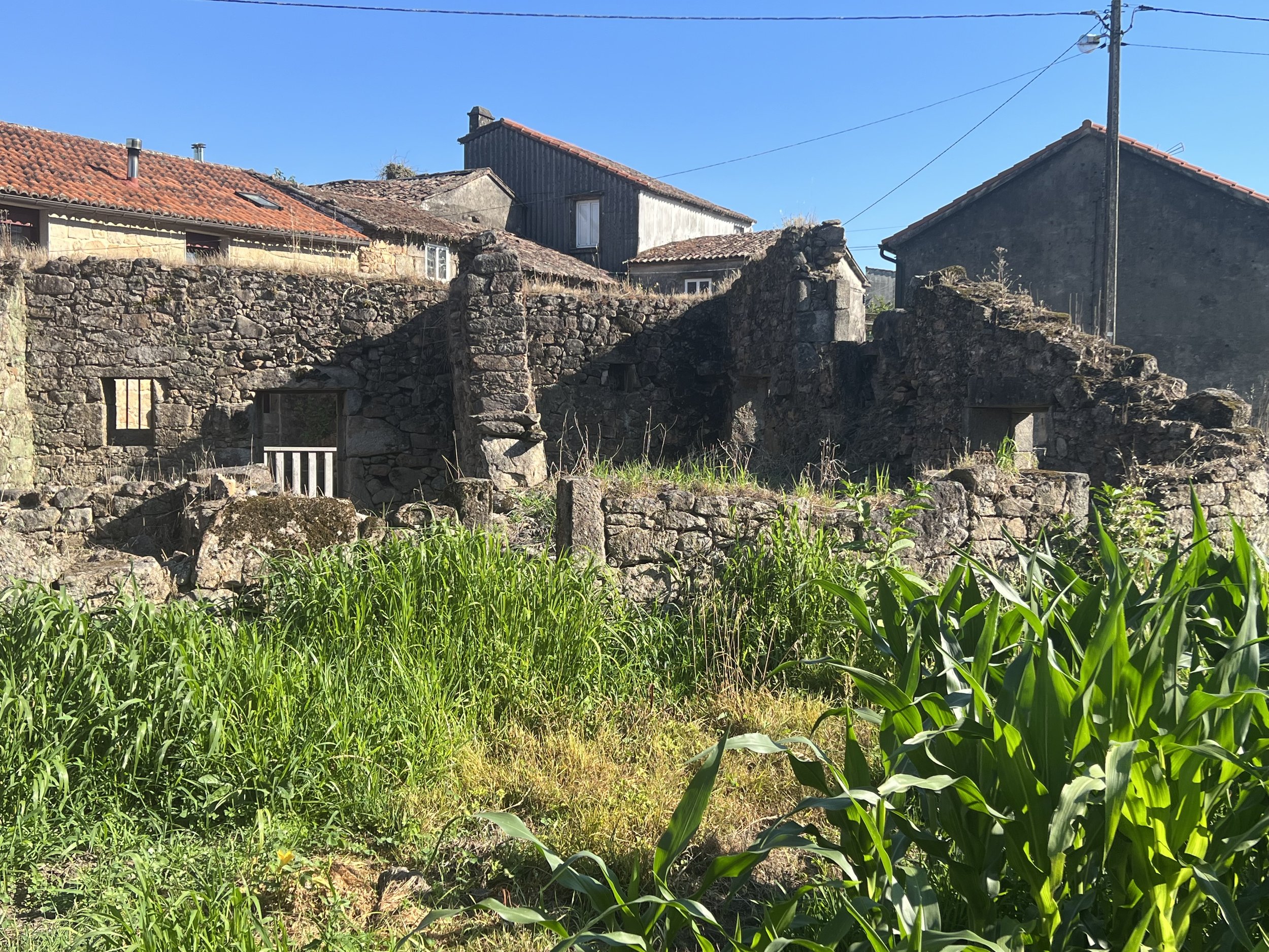 On the Camino de Santiago Days Three and Four — Pontevedra to Padrón