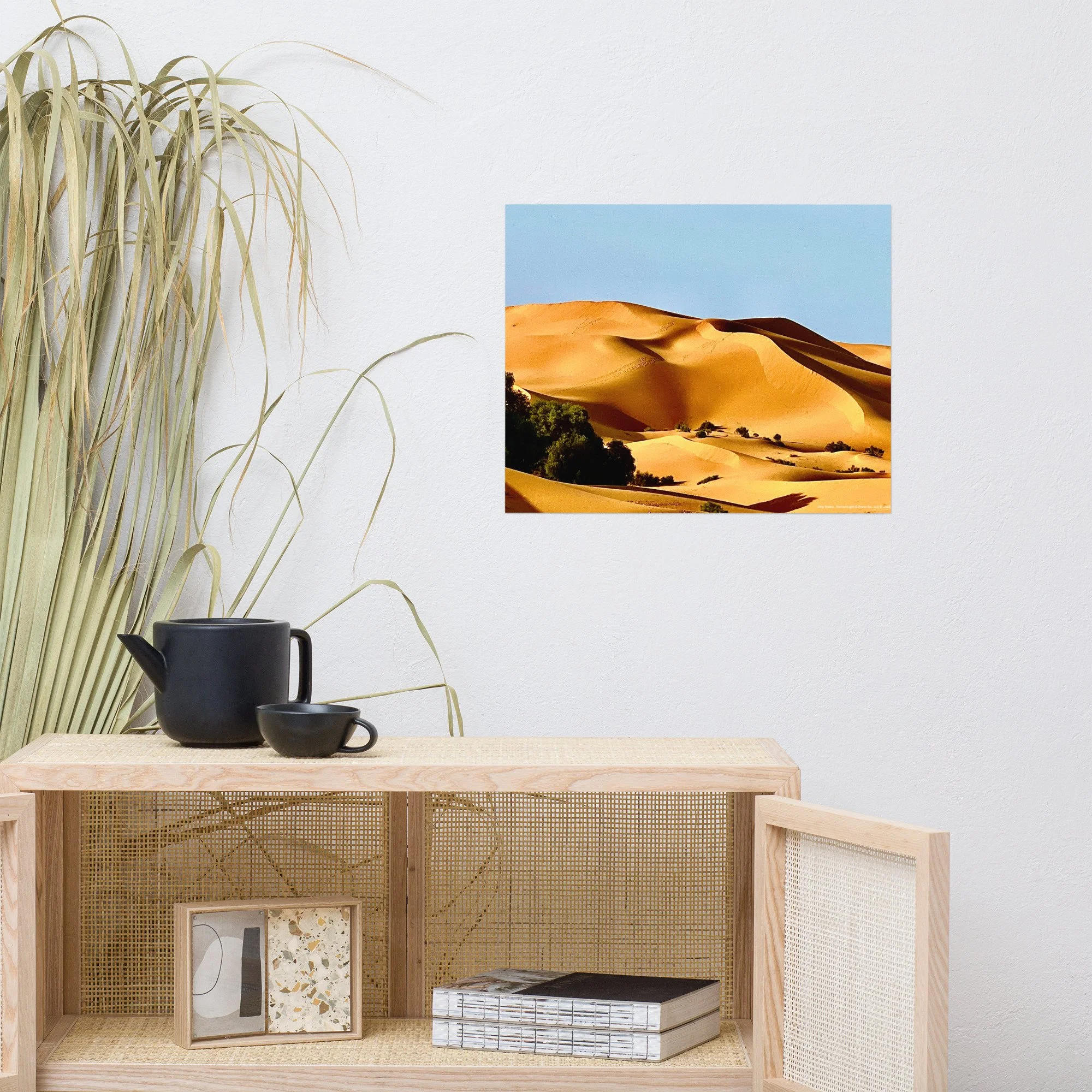 enhanced-matte-paper-poster-(in)-16x20-front-64f38dab53748.jpg