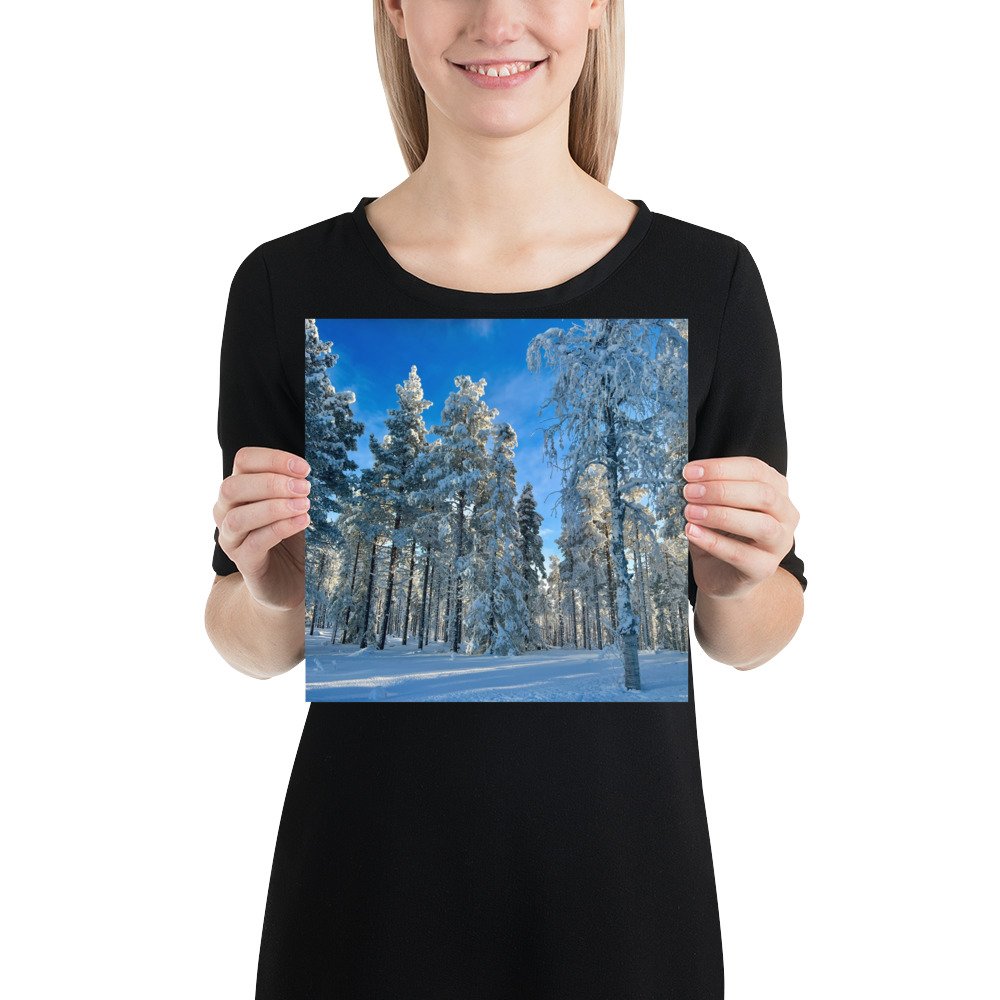 enhanced-matte-paper-poster-(in)-10x10-person-65aa9e37104ba.jpg