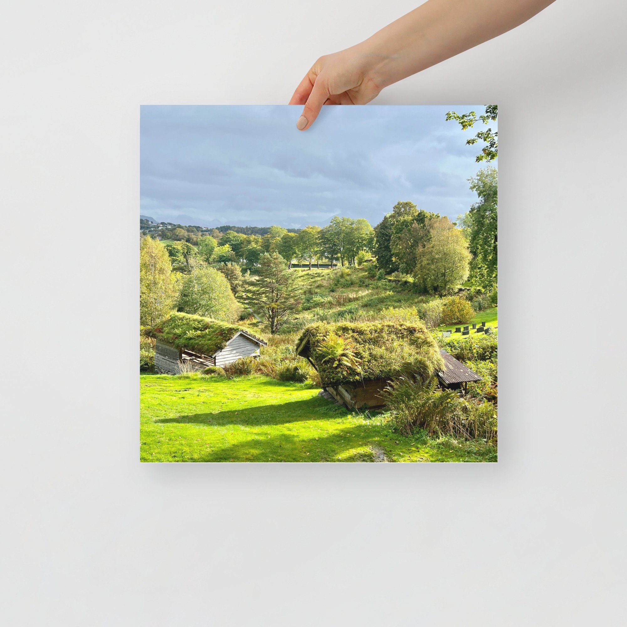 enhanced-matte-paper-poster-(in)-16x16-front-65aa9ed14abdf.jpg