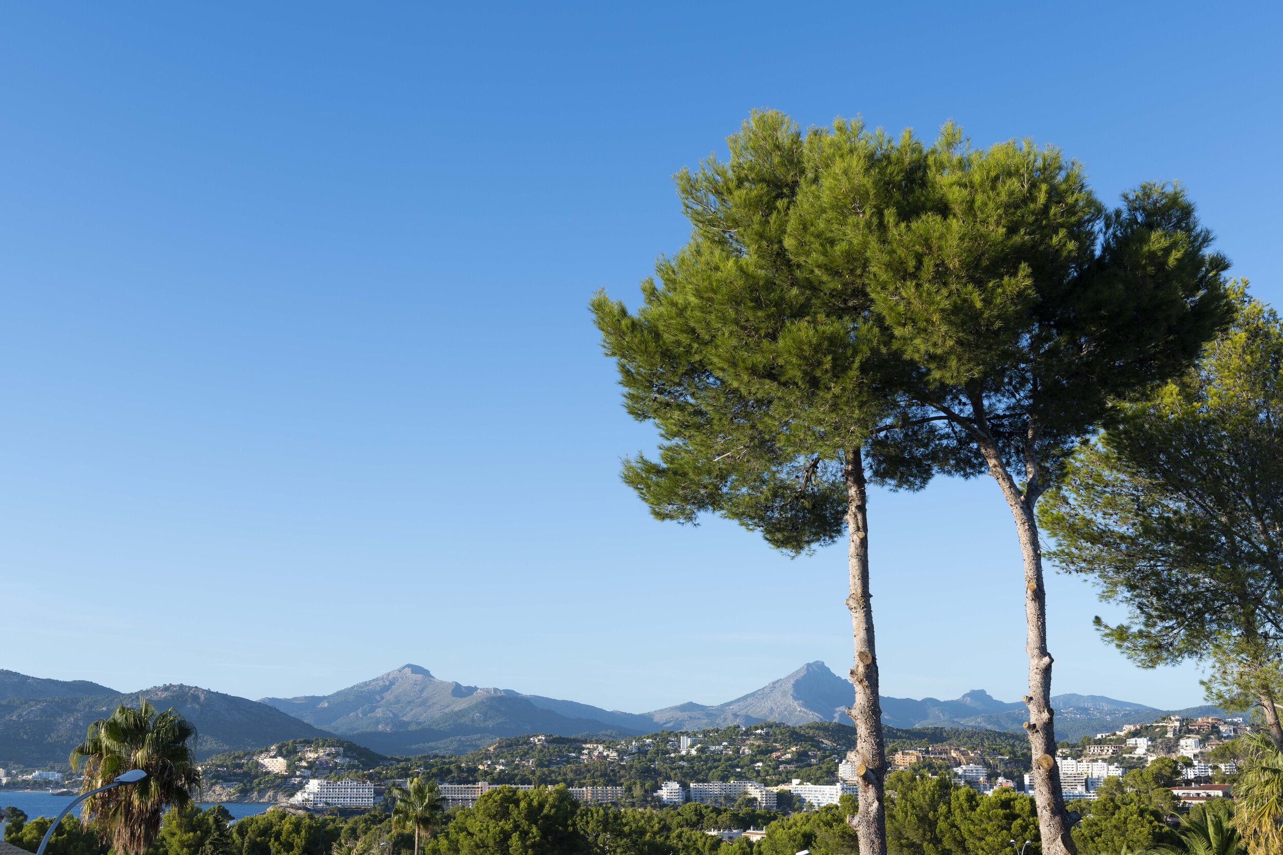 Picturesque view of the Tramuntana mountains and bay of Santa Ponça.