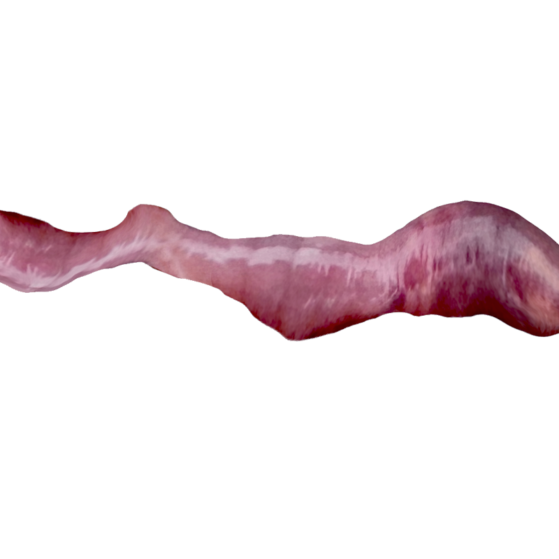 w8.png