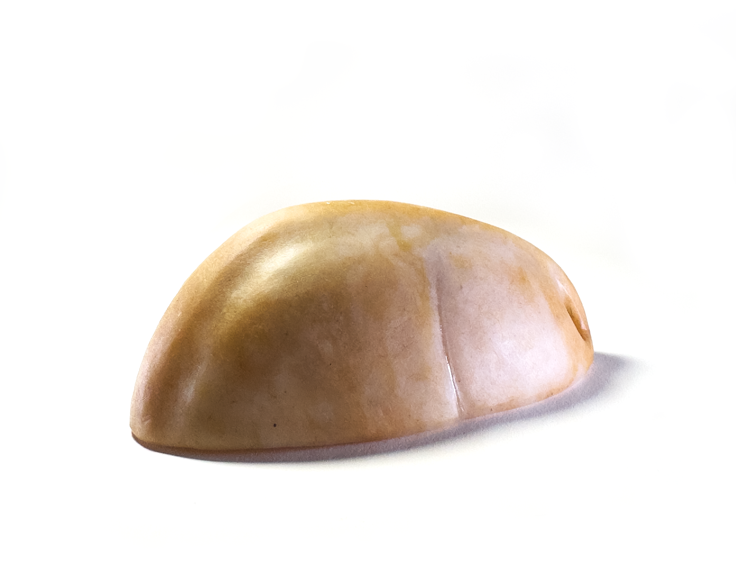 SCHandler_REC_SIDE.png