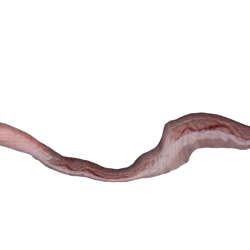 w16.png