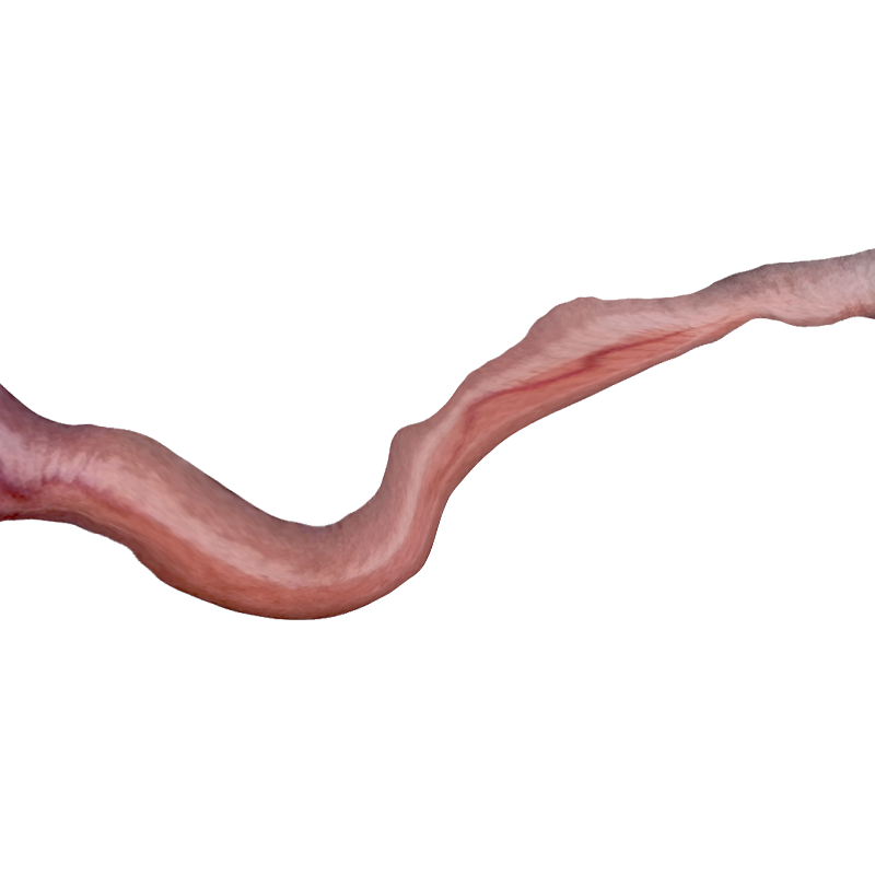 w9.png