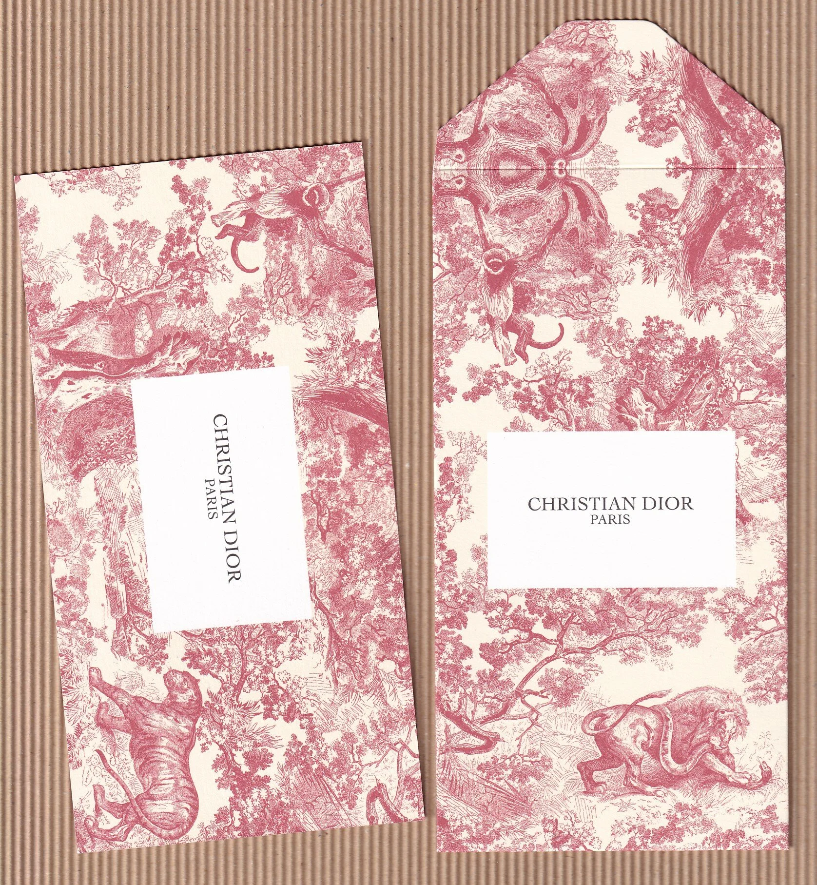 DIOR TUILE 2021 set.jpg