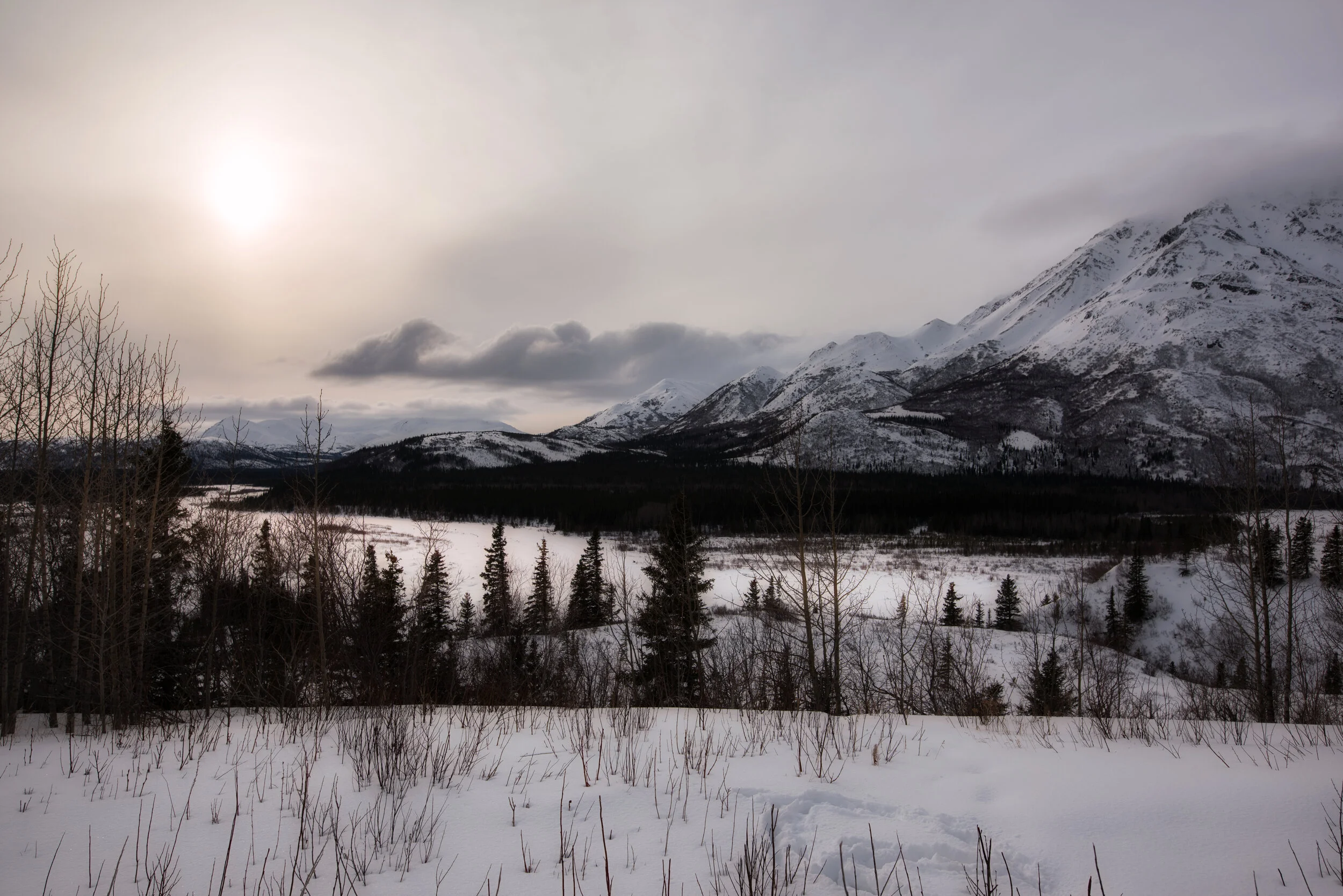 _DSC7345_sRGB.jpg