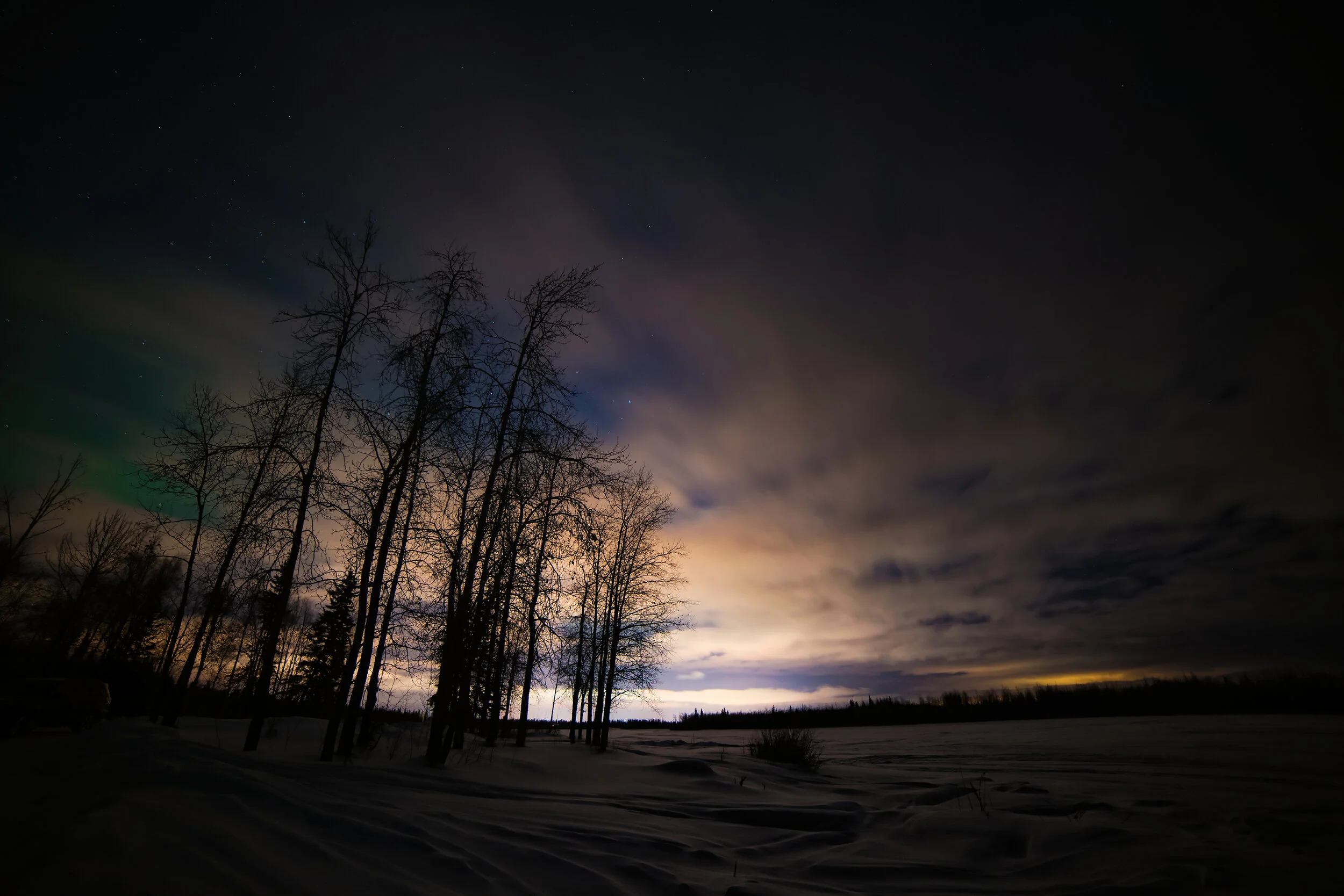 _DSC7867_DxO.jpg