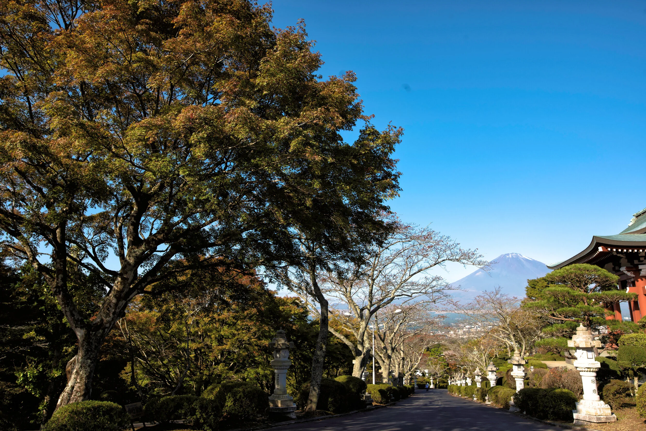 _DSC1870_DxO.jpg
