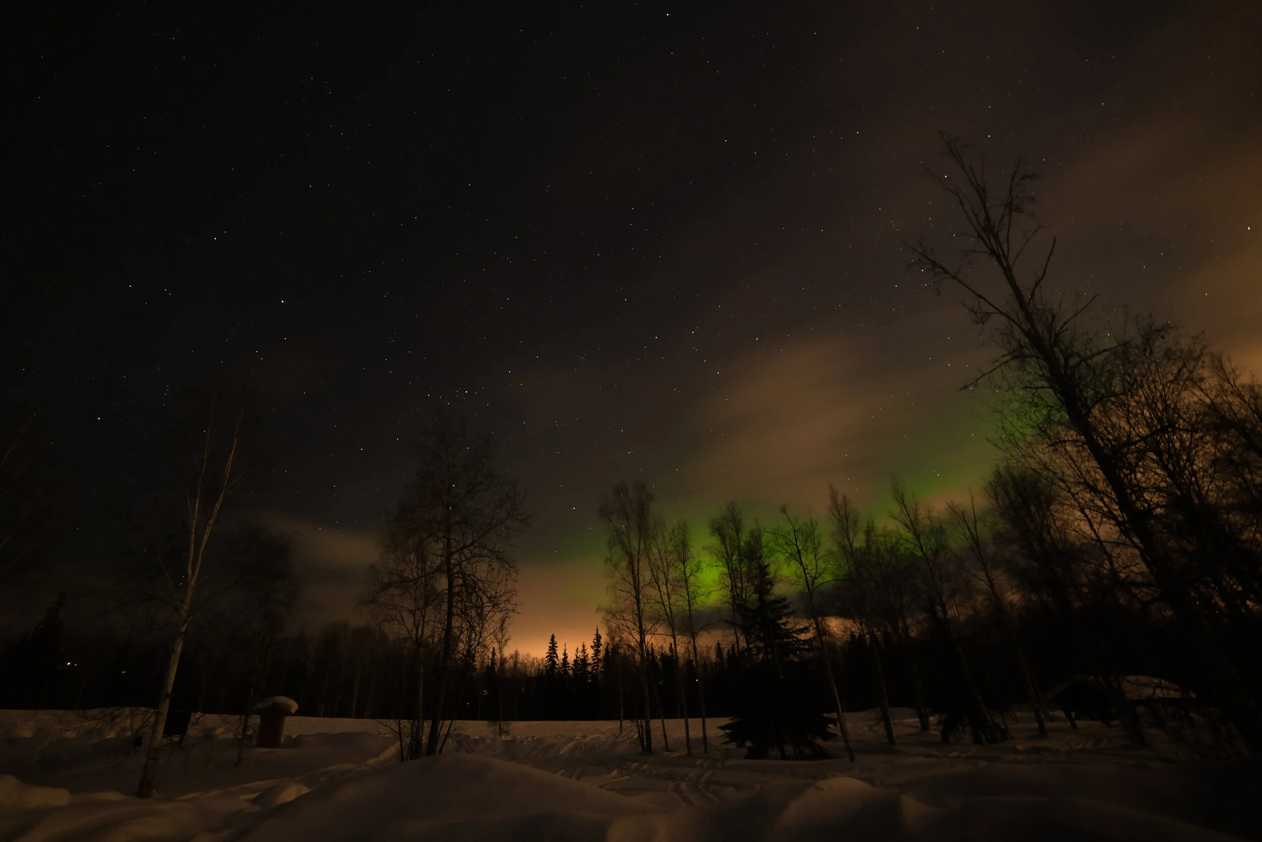 _DSC7860_DxO.jpg