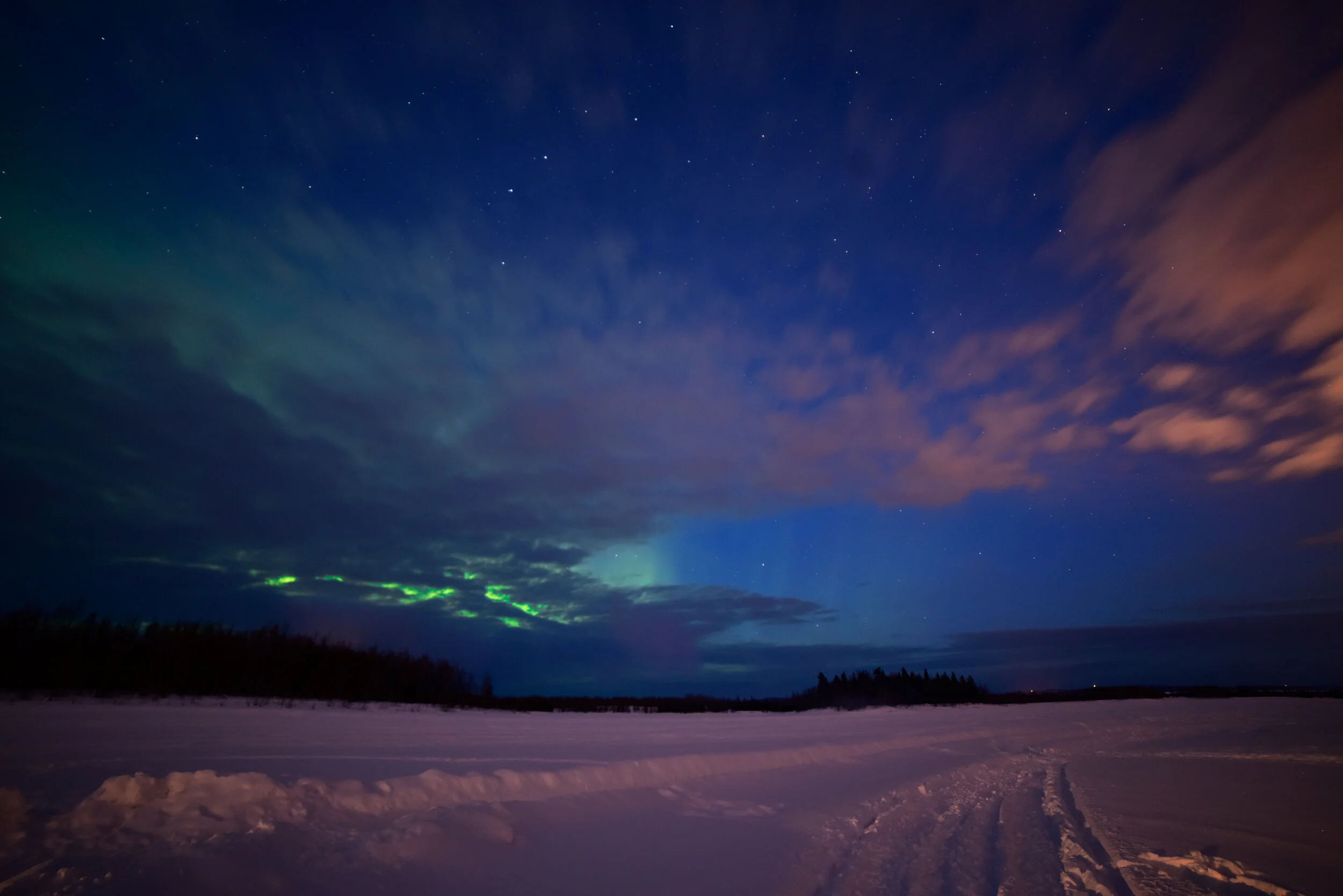 _DSC7630 1.jpg