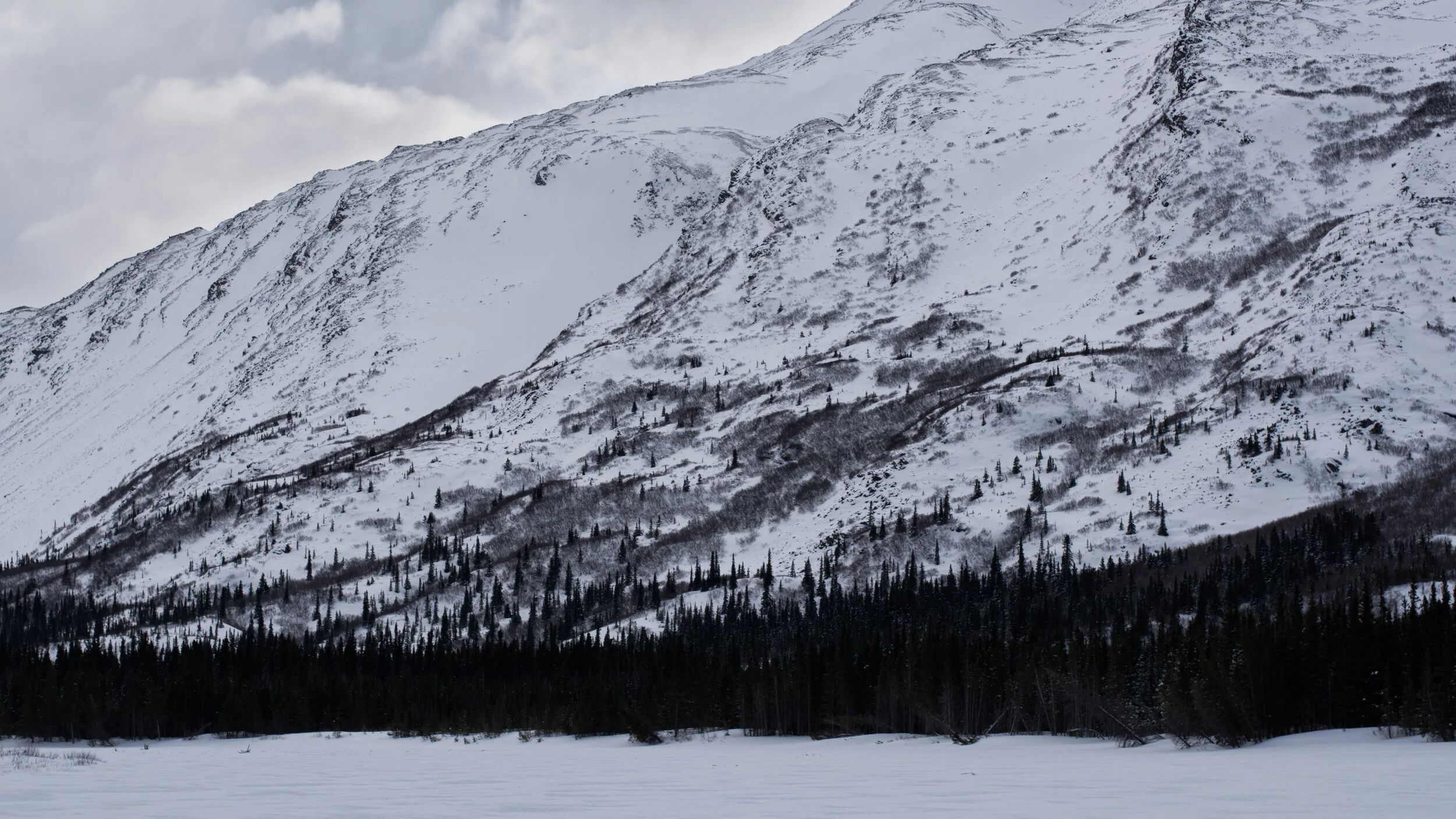 _DSC8327.jpg