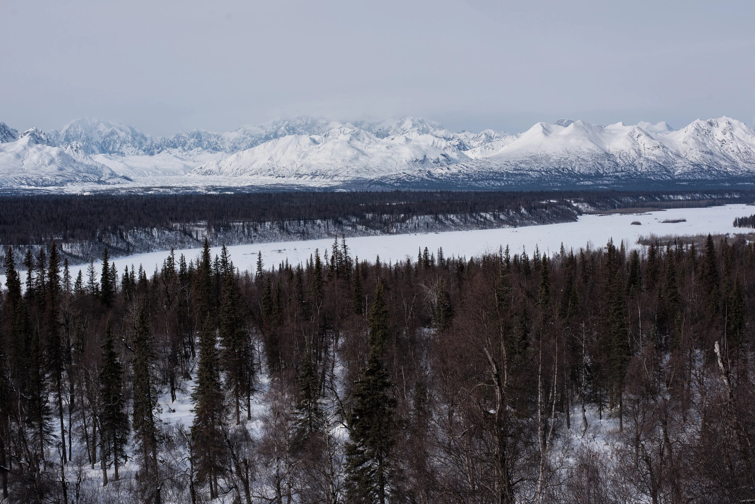 _DSC7293_s.jpg