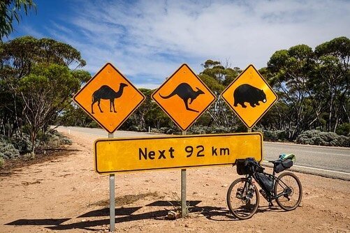 &ldquo;The Sunburnt Desert: A Solo Bikepacking Journey Across Australia&rdquo; story is over at @theradavist 

Included in this piece:

Transitioning from touring to bikepacking 

Africa setup vs. New Zealand vs. Australia set up (and the never-endin