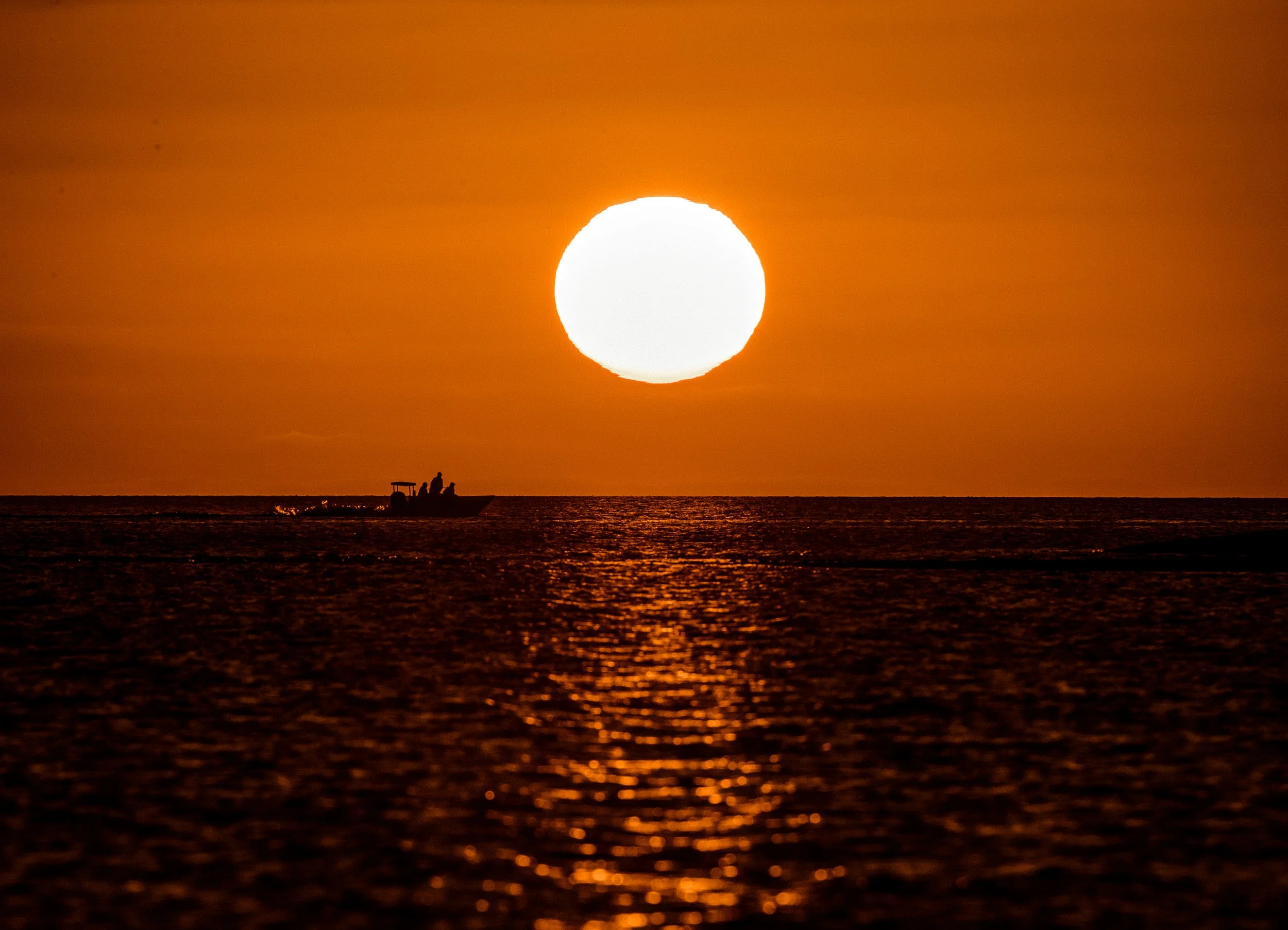 everglades23.1.jpg