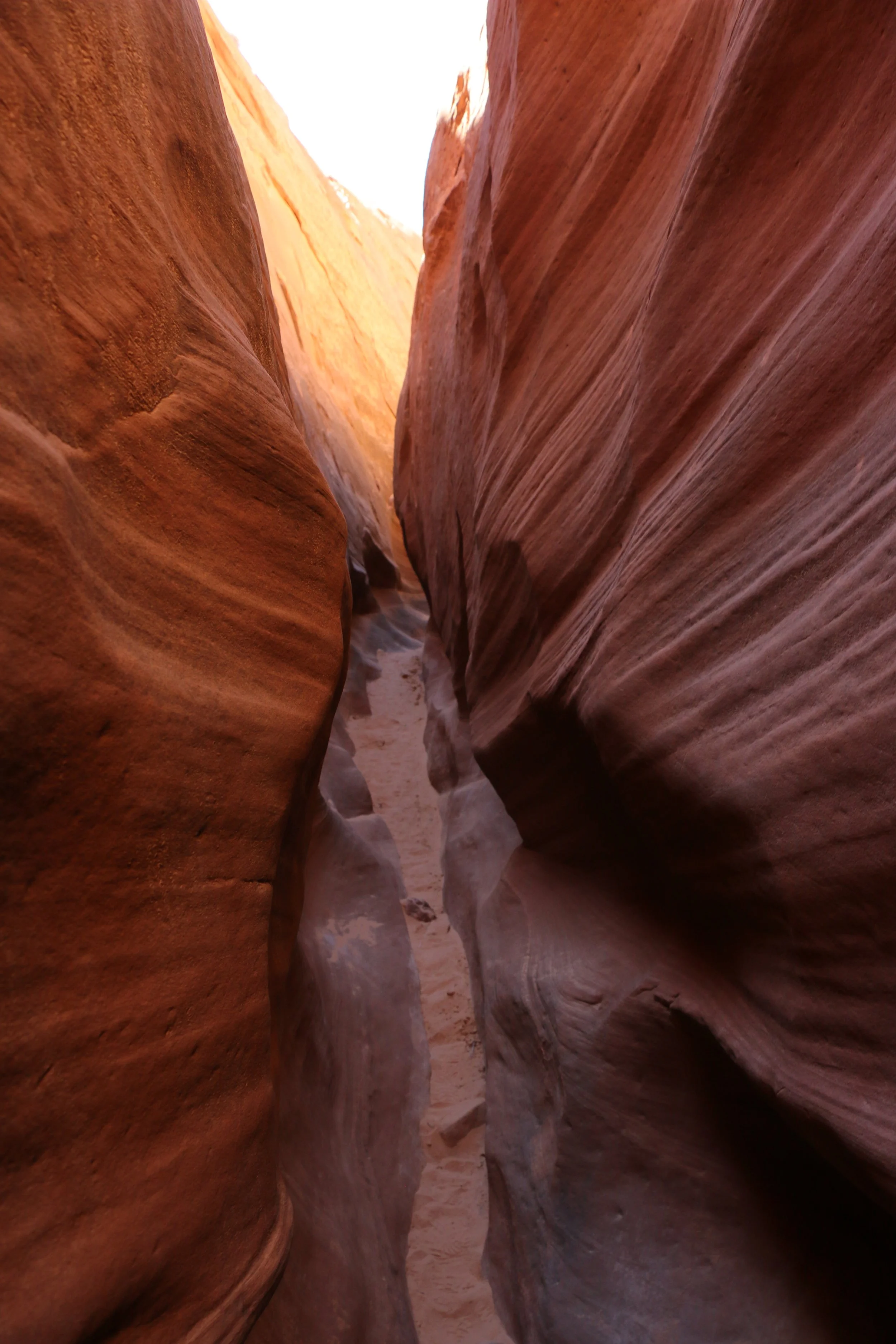 Copy of Copy of IMG_9090.JPG