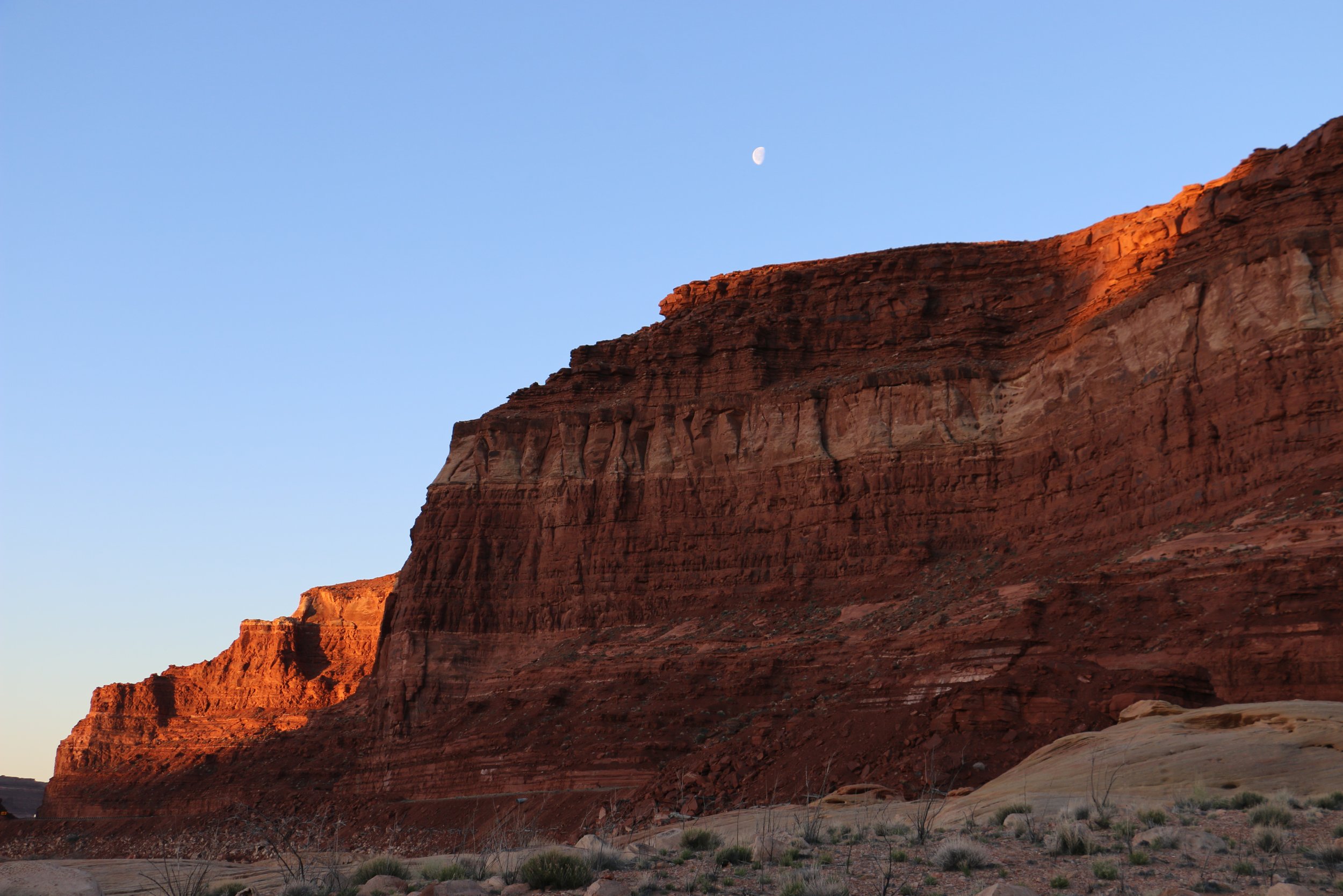 Copy of Copy of IMG_8982.JPG