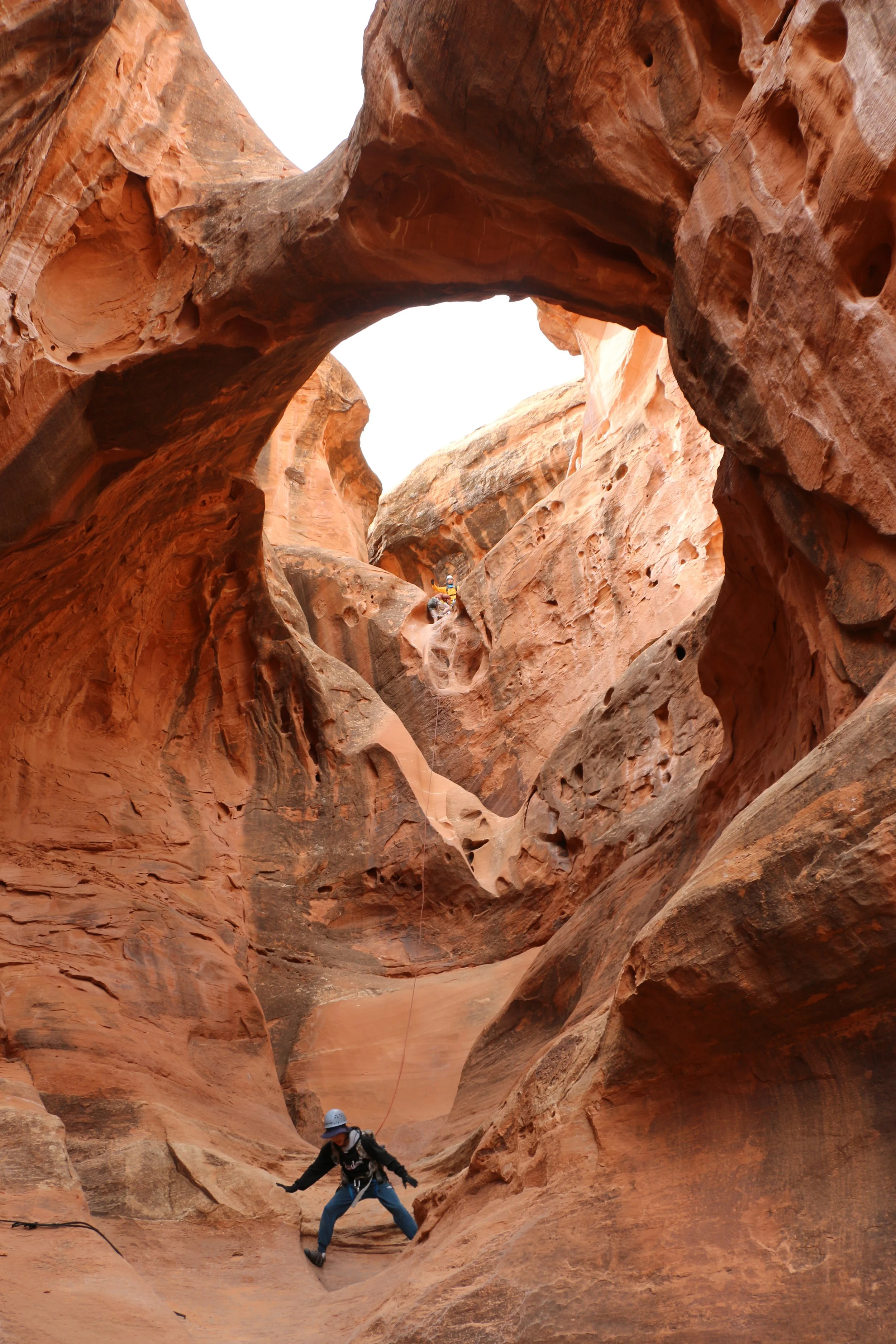 Copy of Copy of IMG_9523.JPG