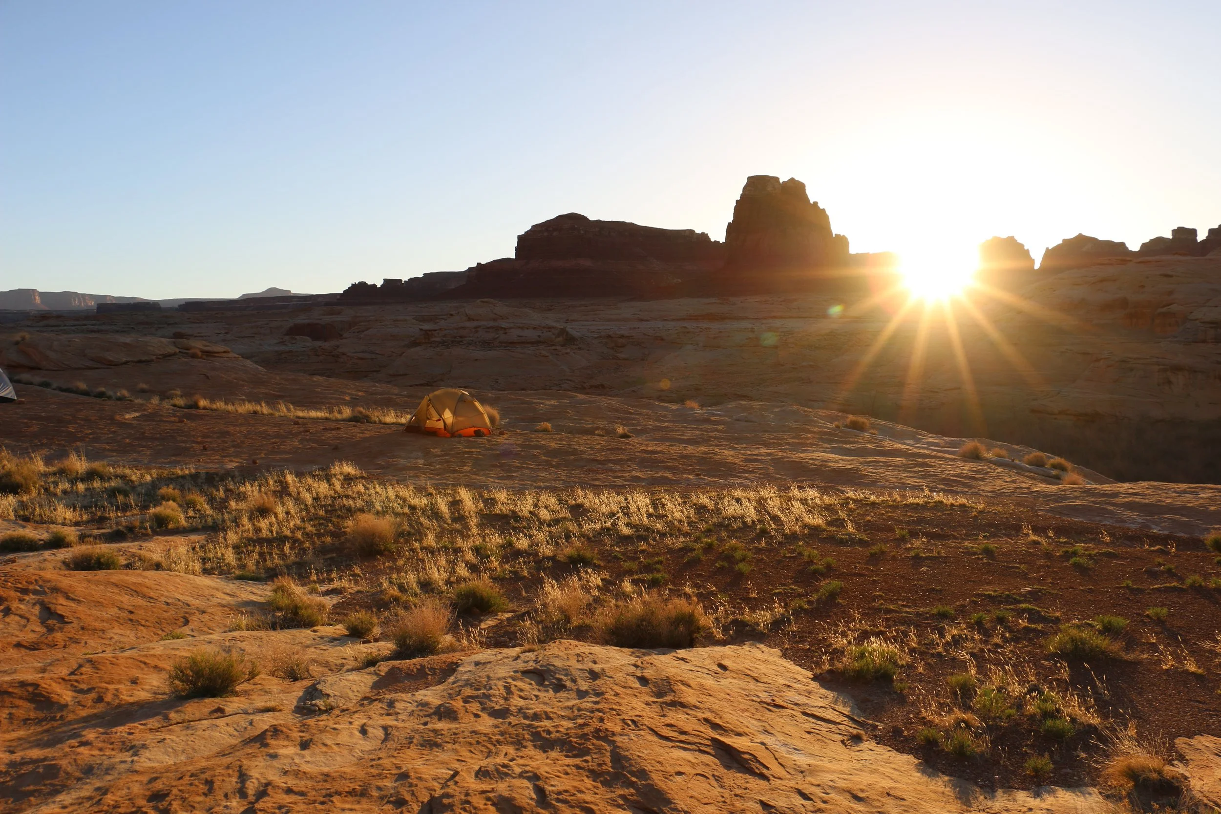 Copy of Copy of IMG_8996.JPG