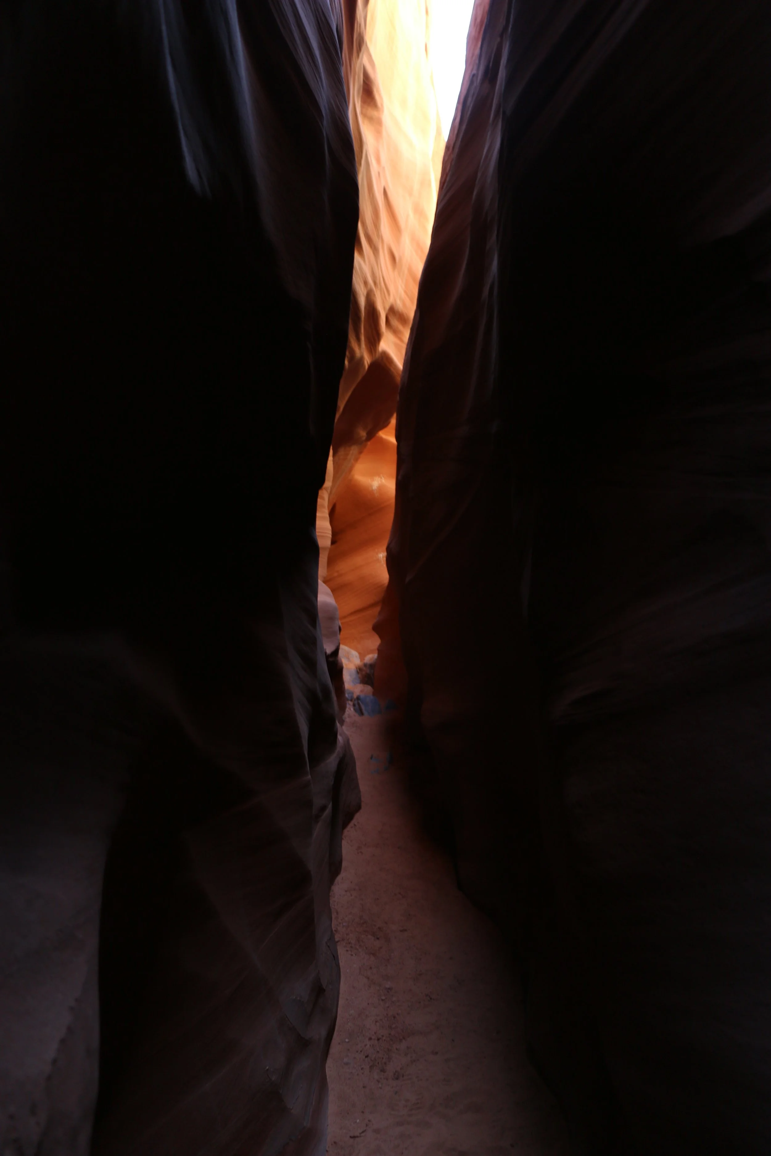 Copy of Copy of IMG_9125.JPG