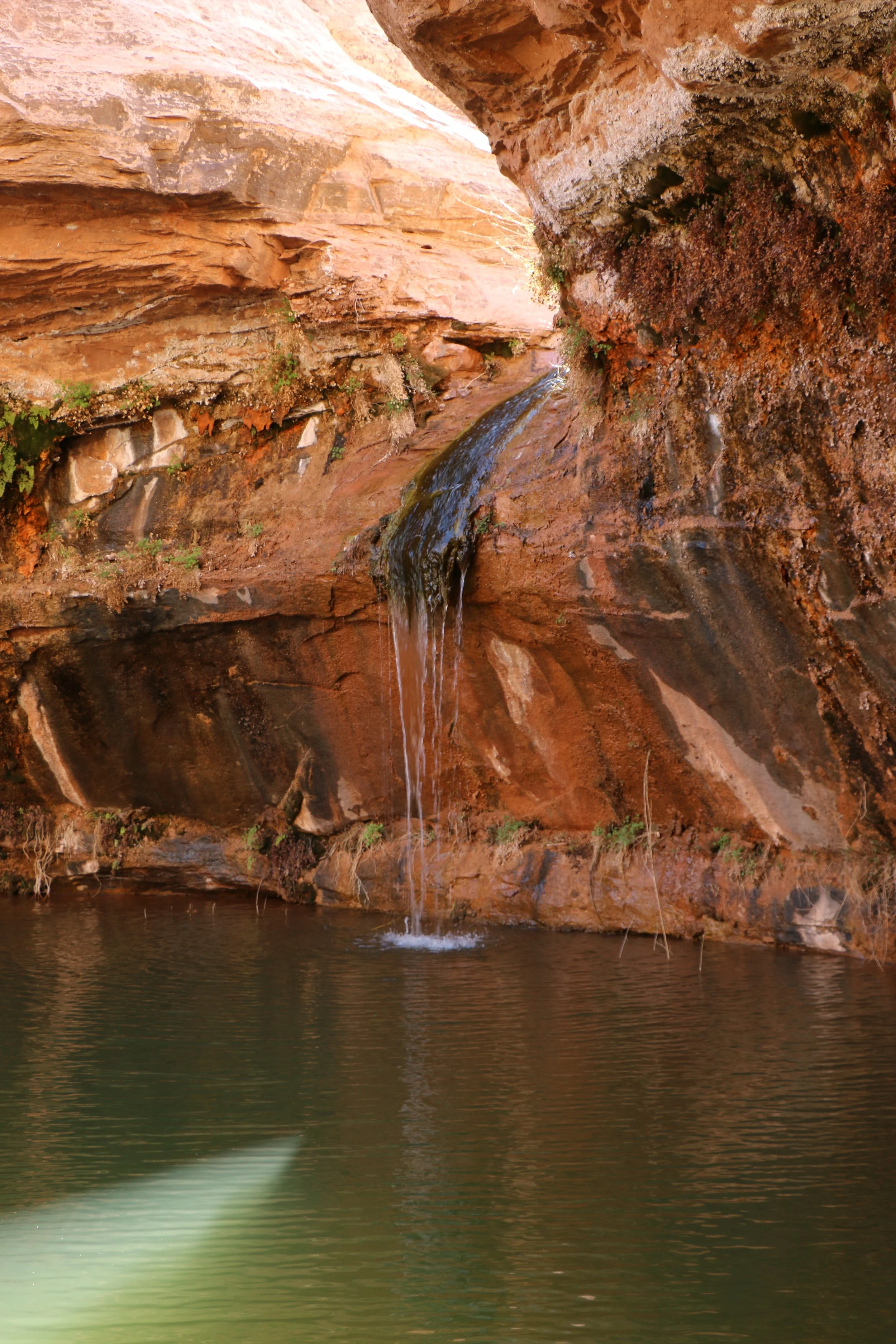 Copy of Copy of IMG_8921.JPG