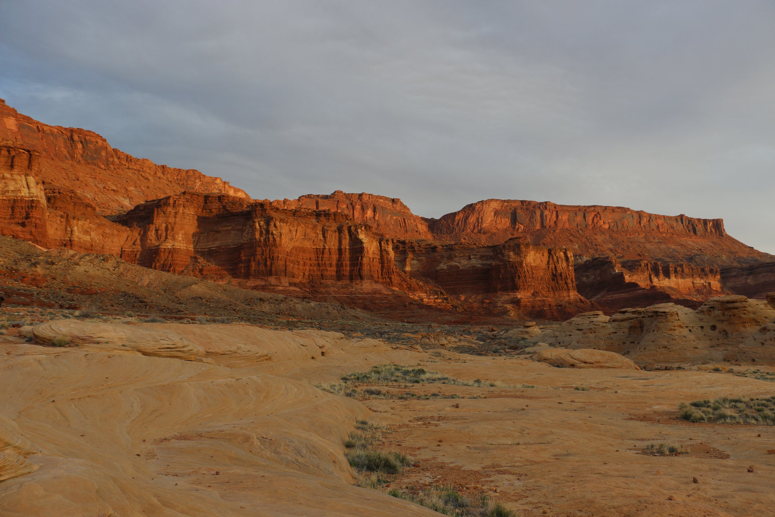 Copy of Copy of IMG_9200.JPG