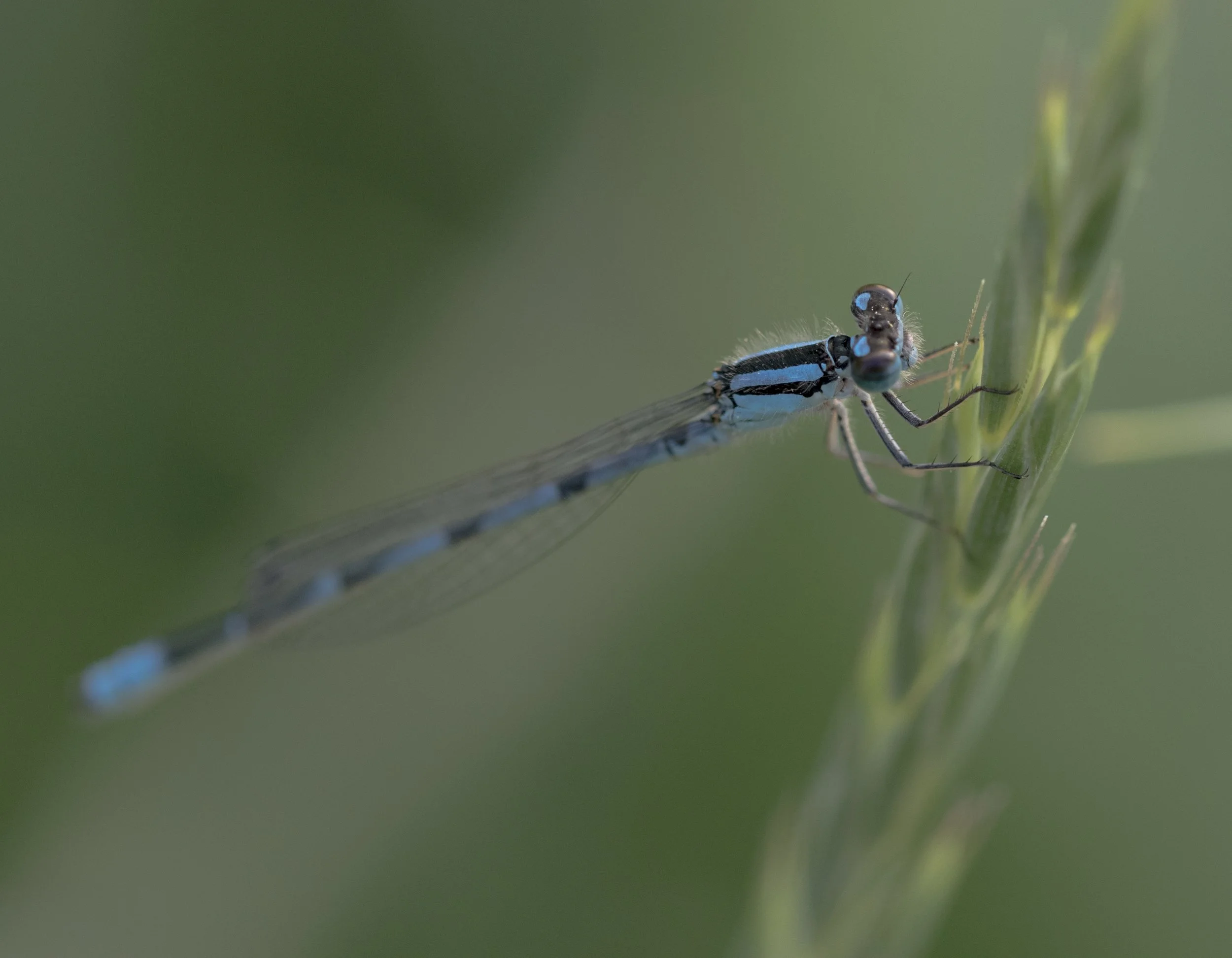 7D2_1259.jpg