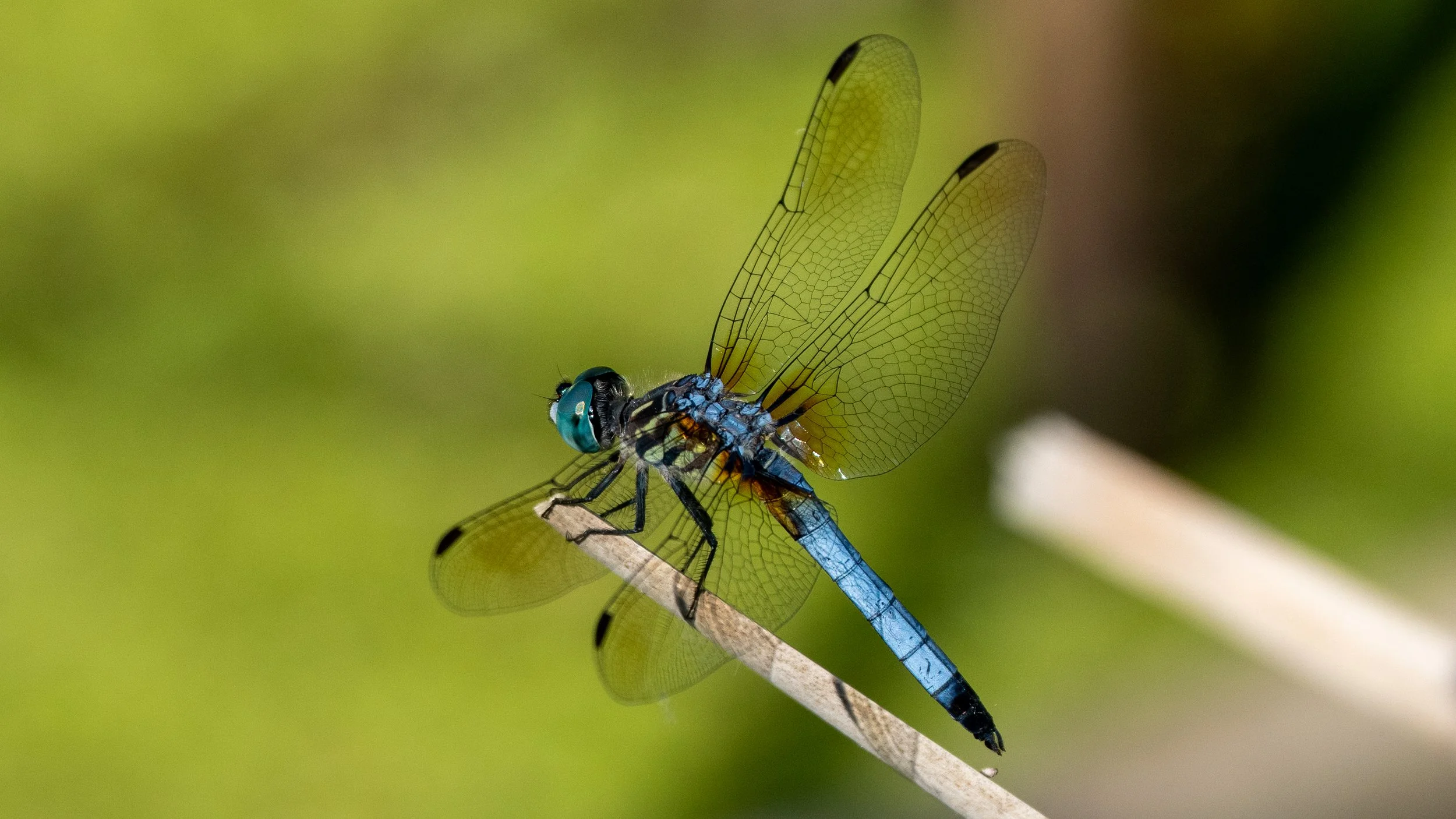 SA104964.jpg
