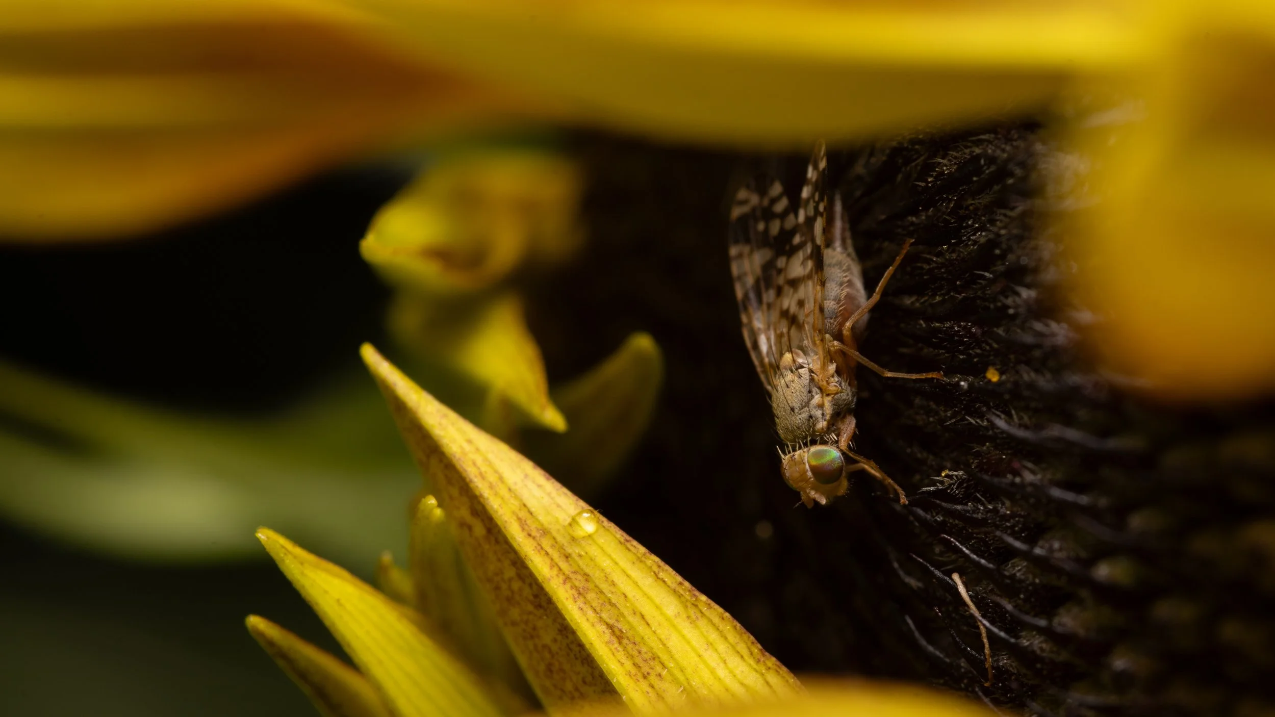A7R00443.jpg
