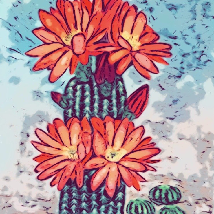 MindHeart Print Mail Club