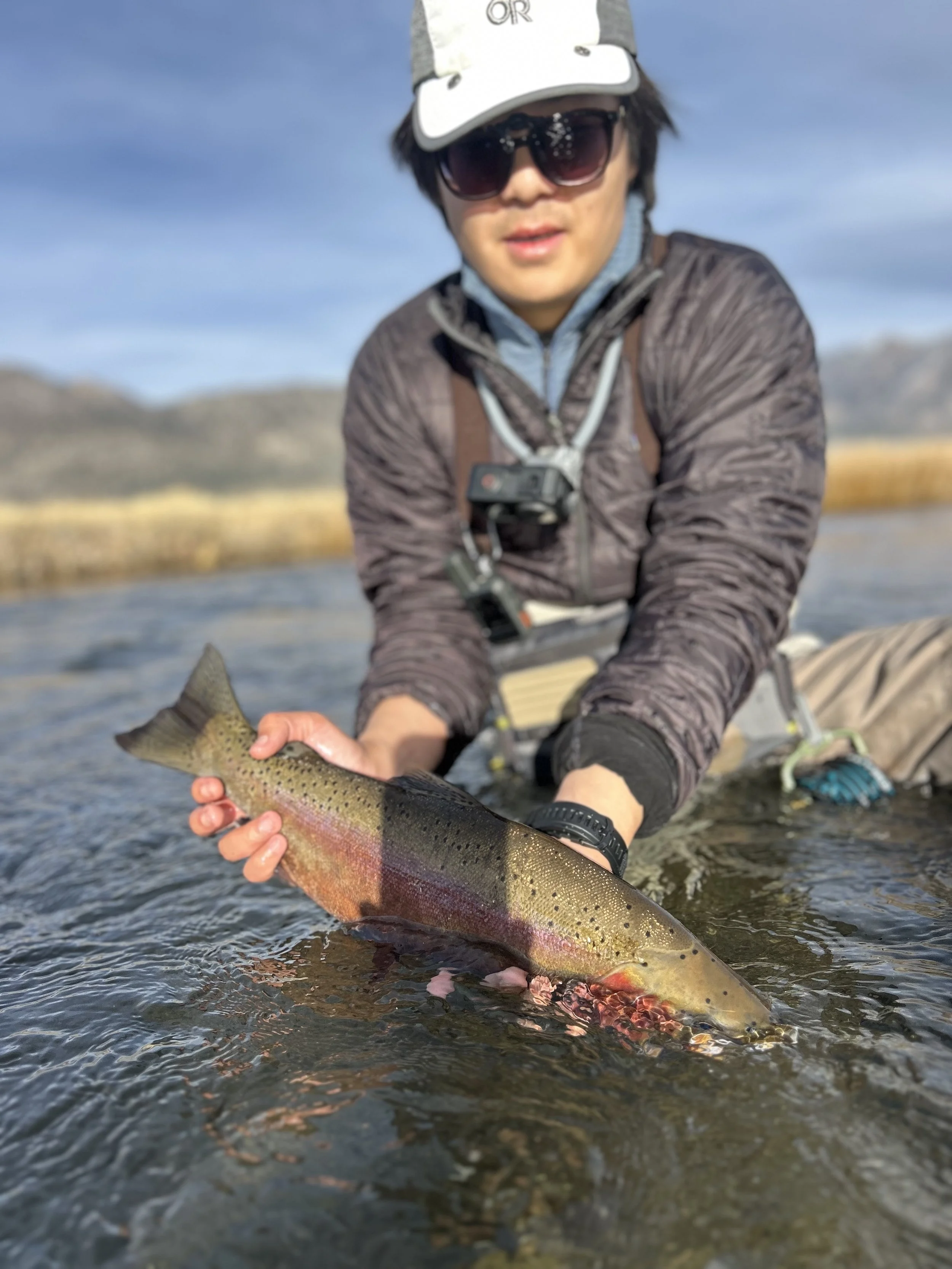 Fly Fishing Report 1/22/2026 