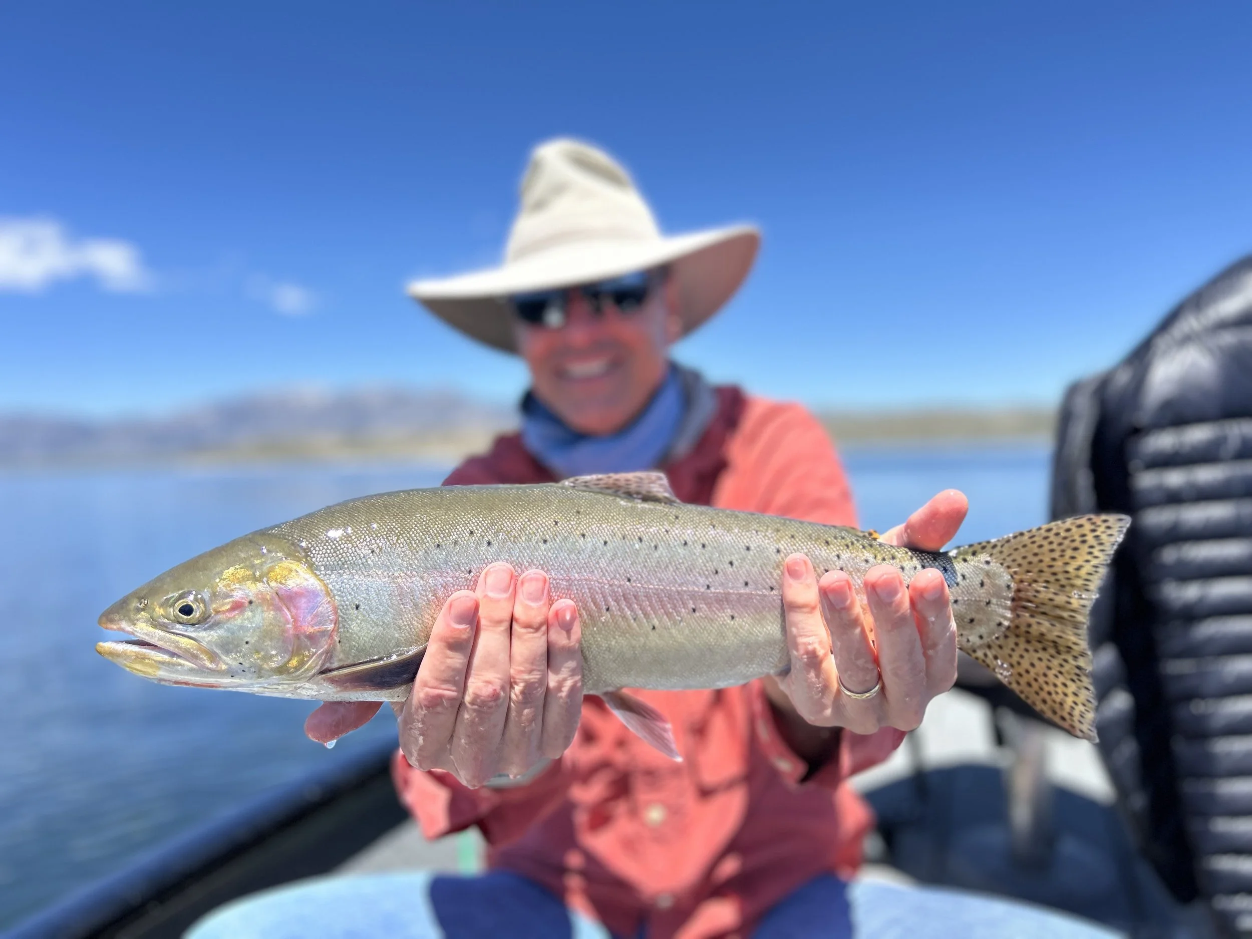 Fly Fishing Report 5/18/2026 