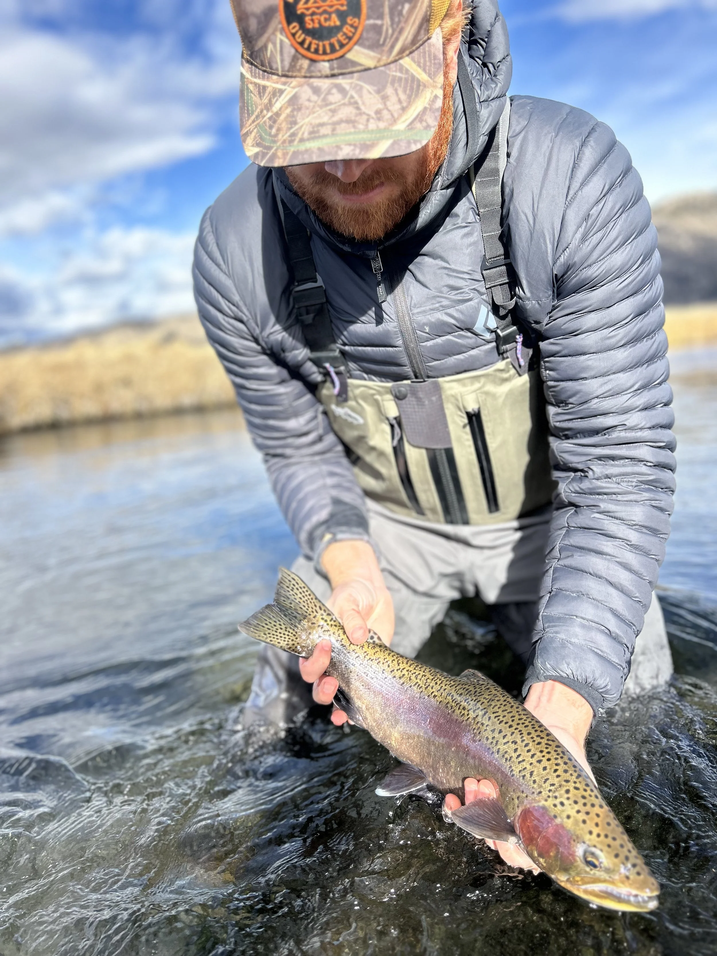 trophy1.jpg