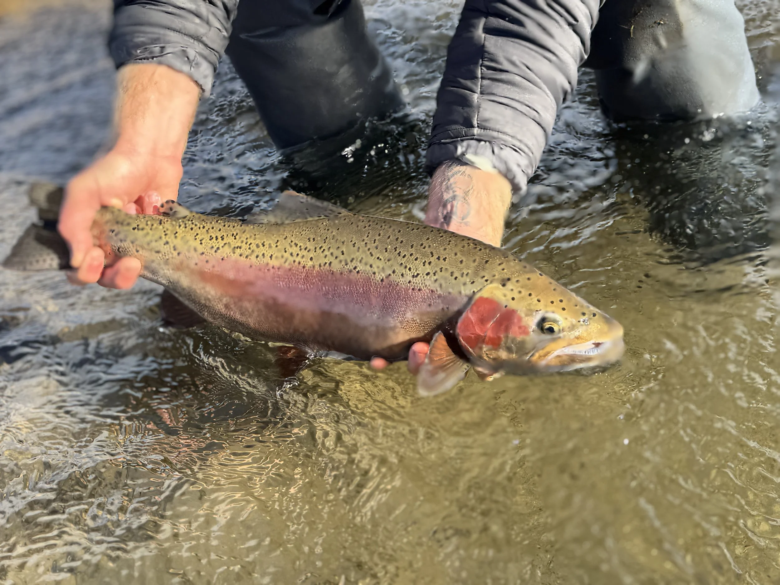 trophy4.jpg