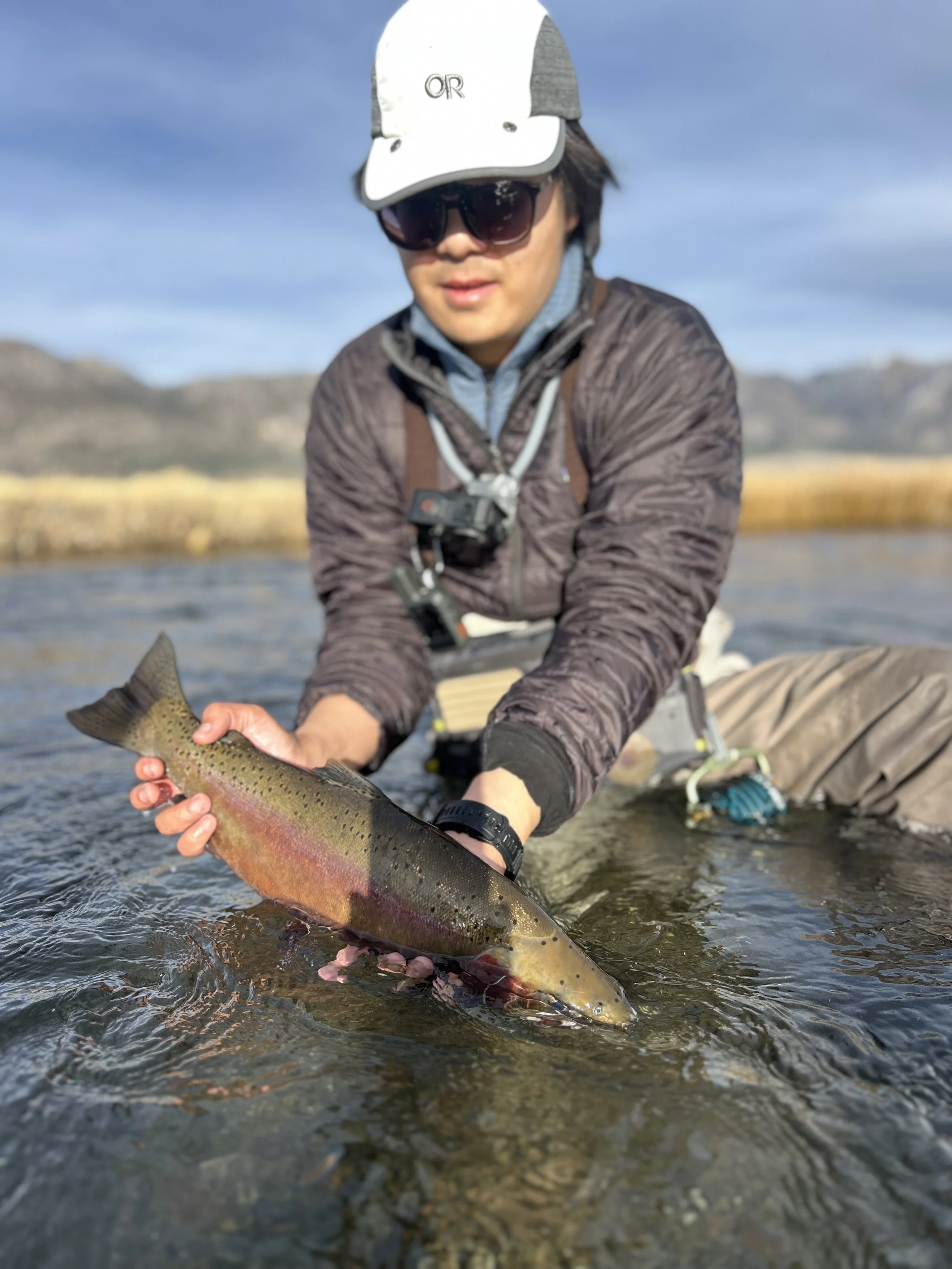 trophy5.jpg