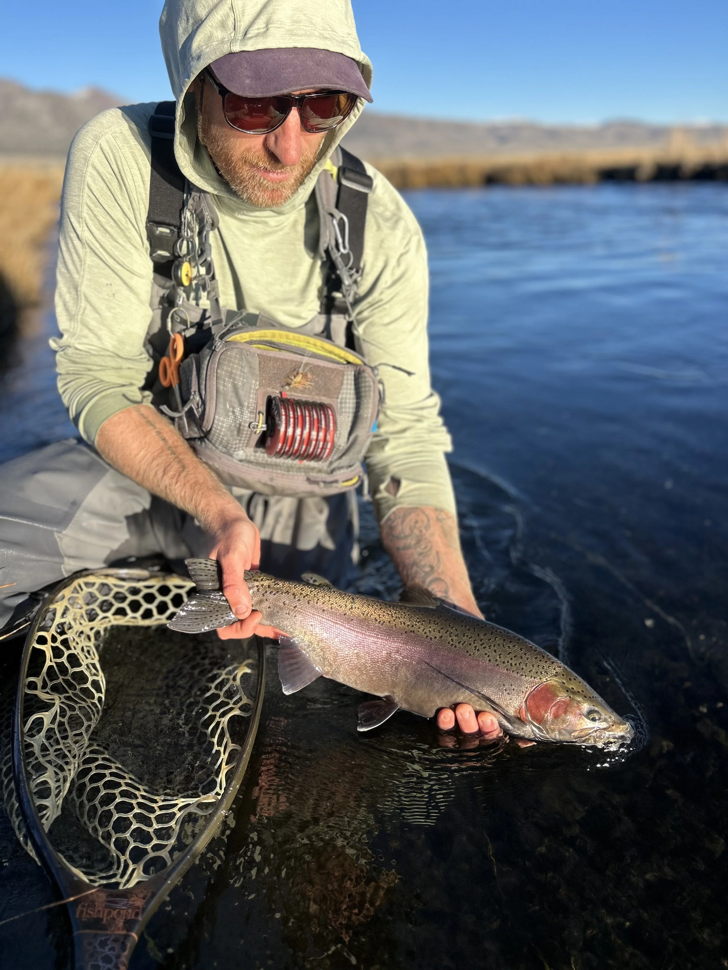 trophy7.jpg