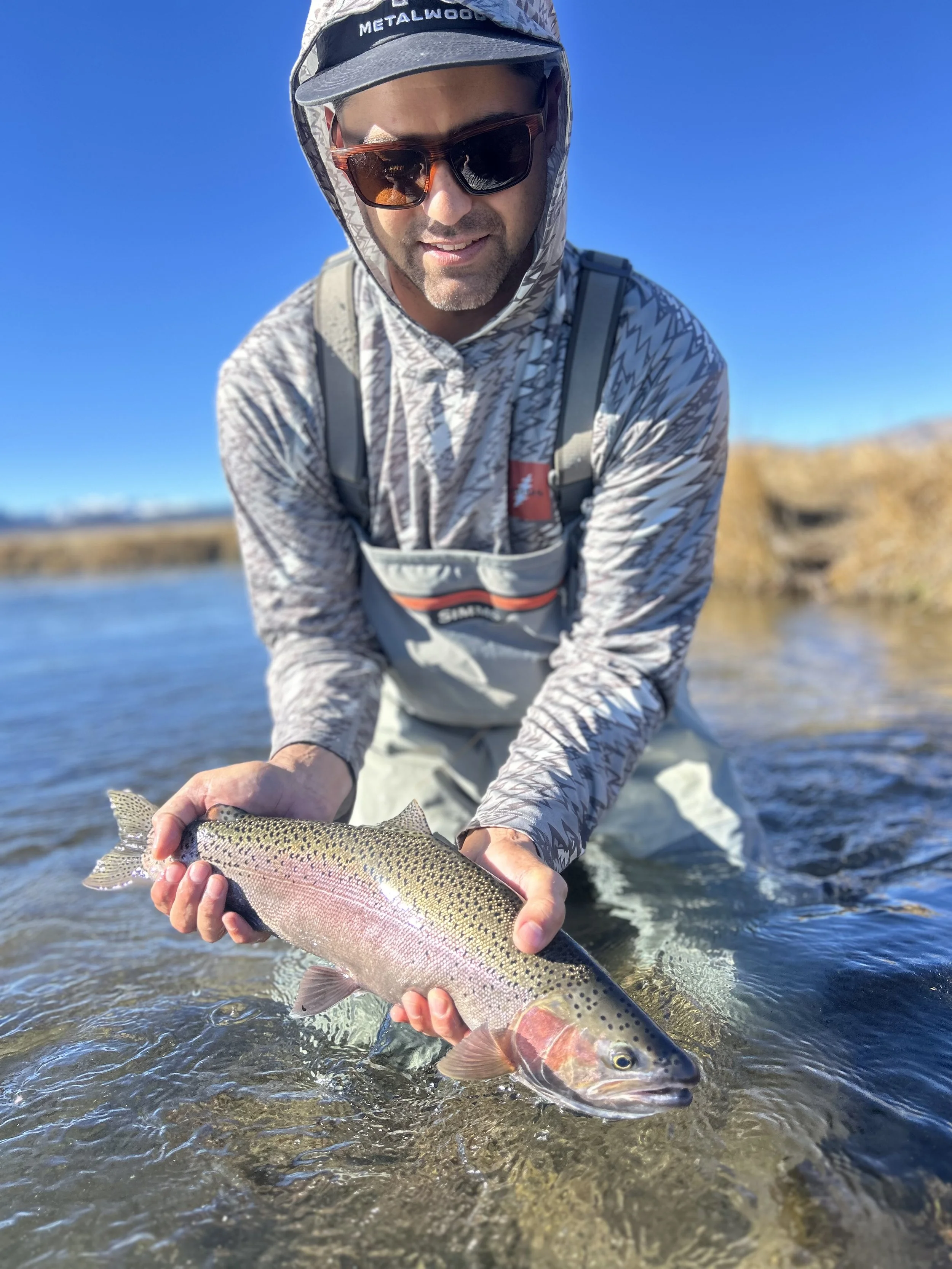 trophy8.jpg