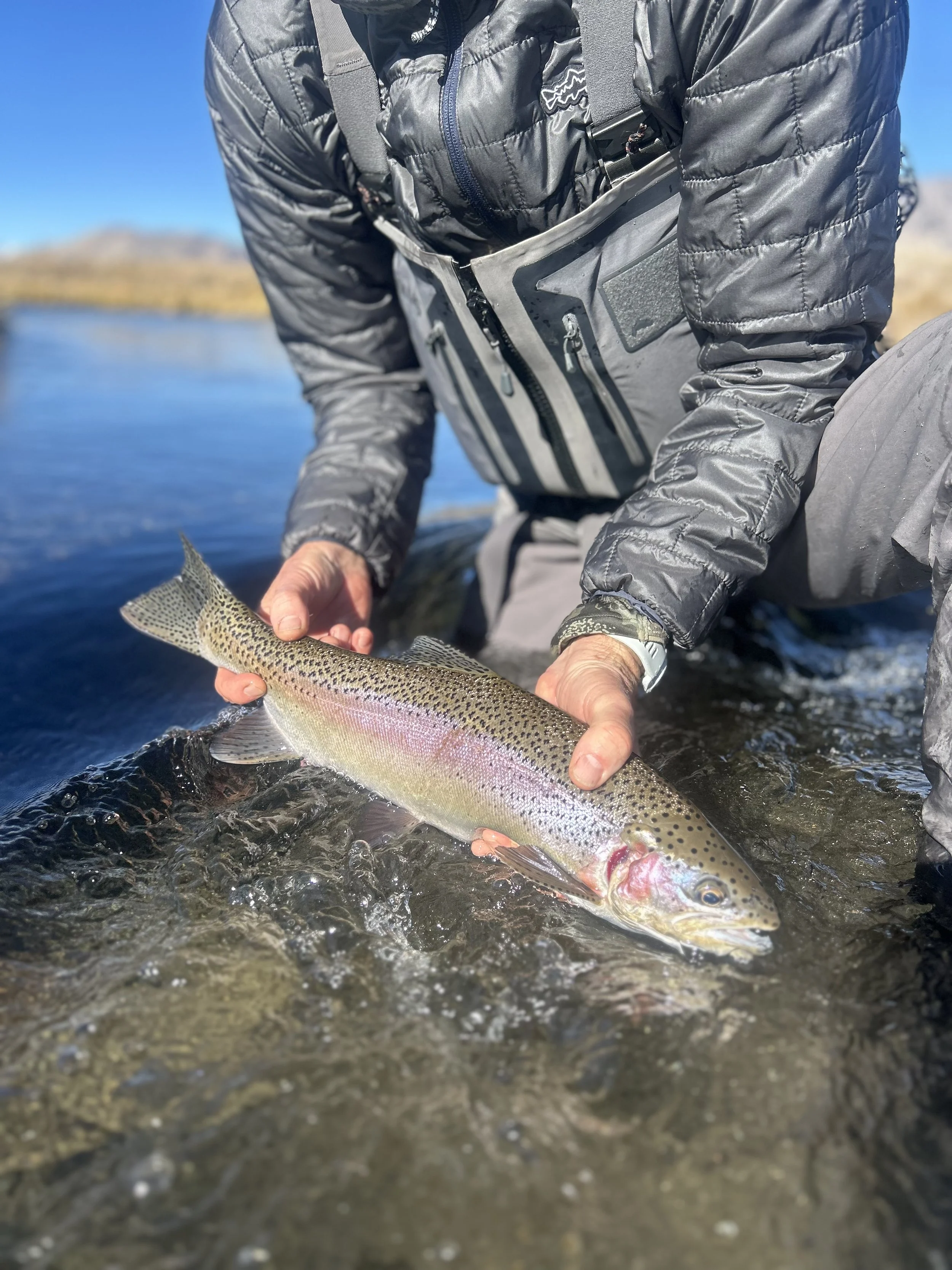 trophy9.jpg