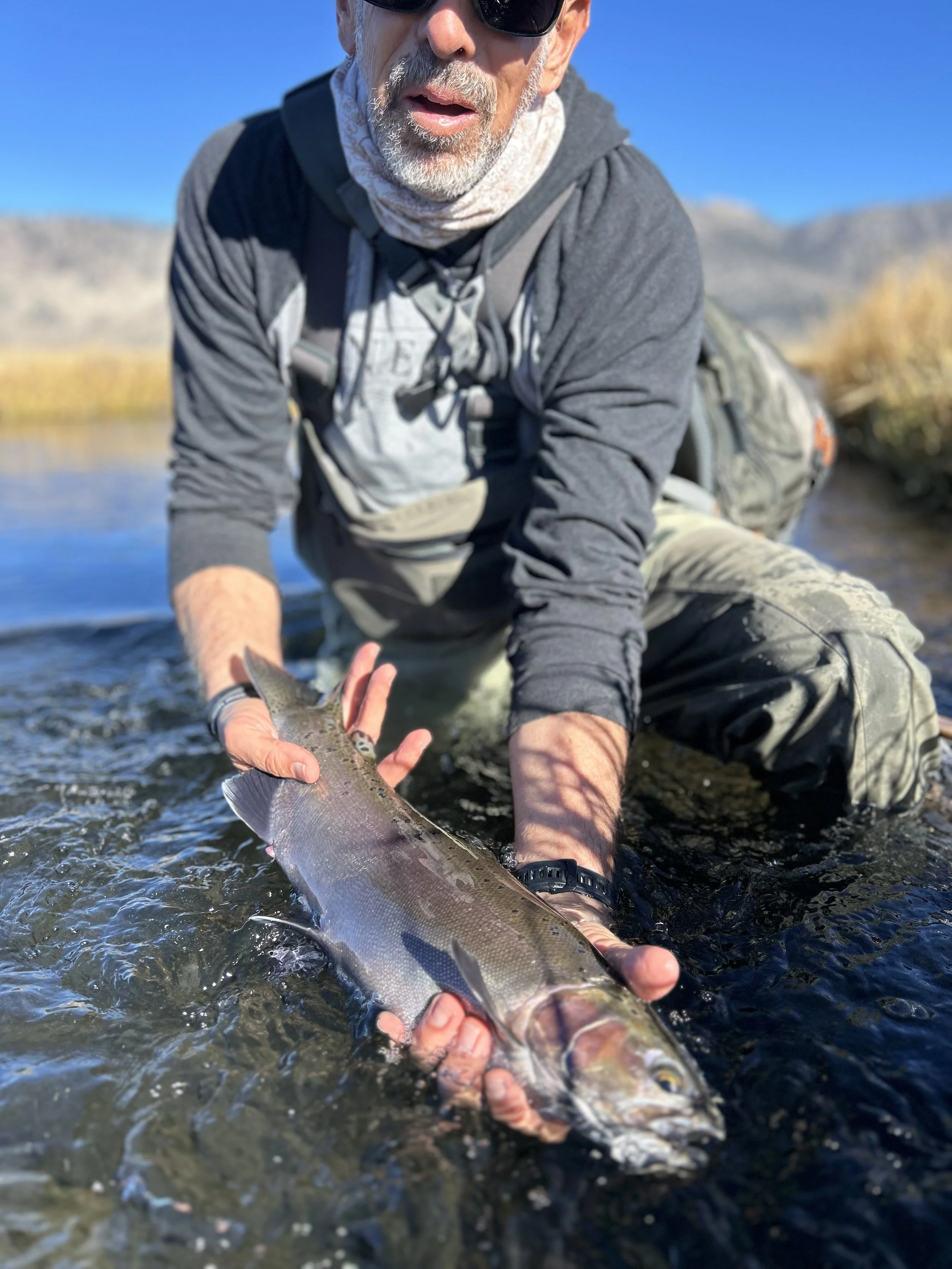 trophy11.jpg