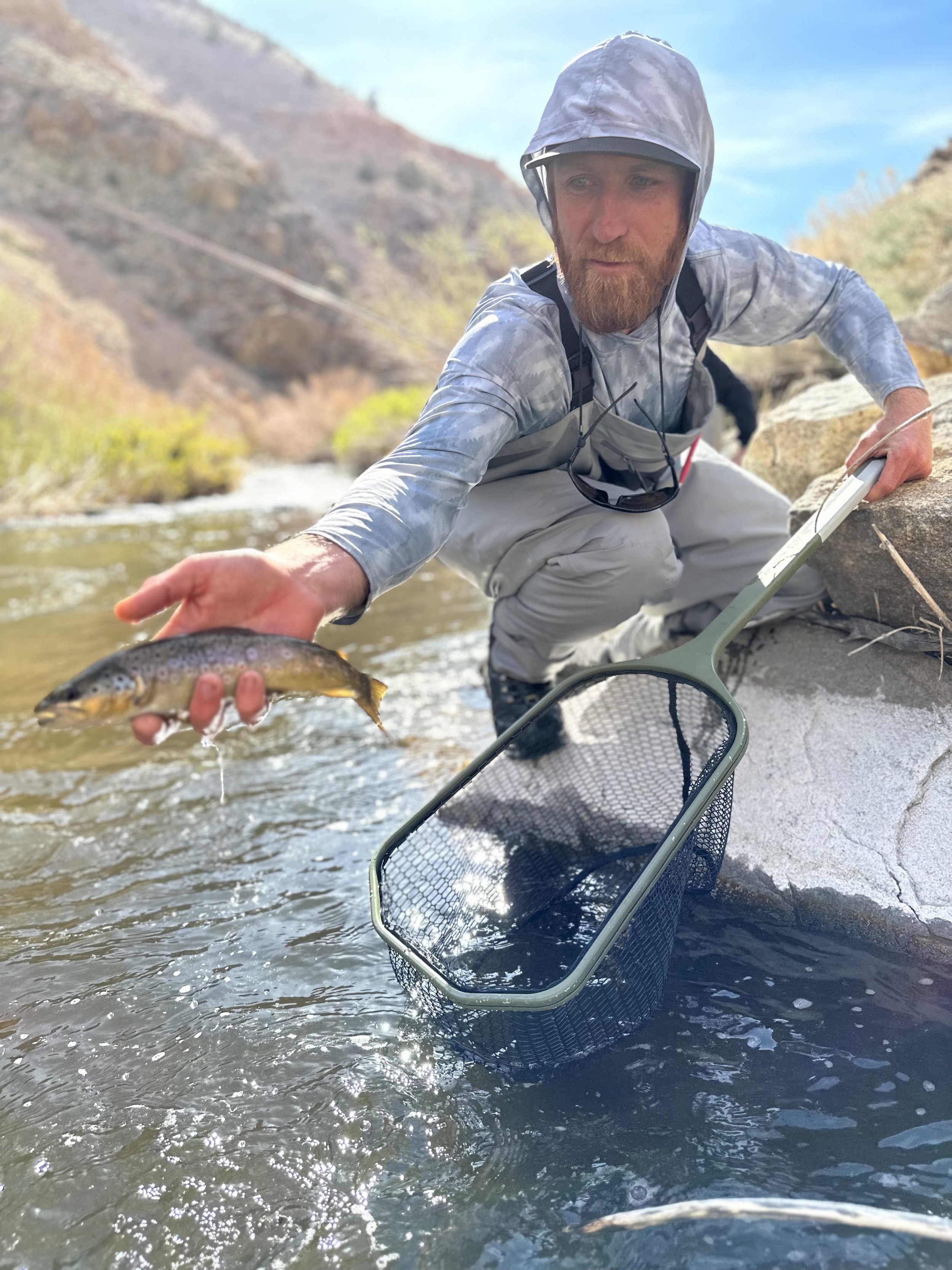 Golden Trout Guiding Co. Fly Fishing Report - June 2, 2023 13 IMG 1429