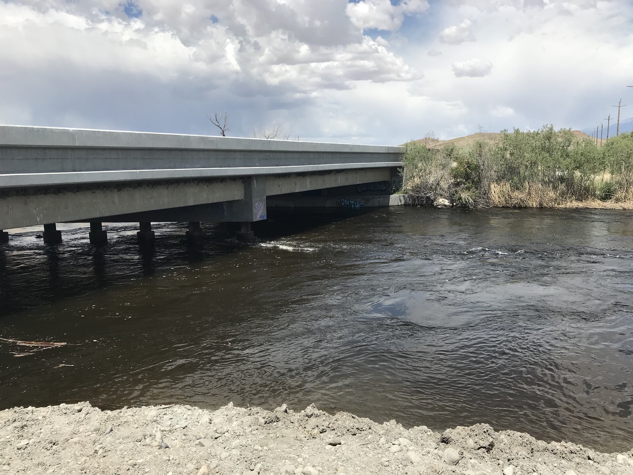 Golden Trout Guiding Co. Fly Fishing Report - June 2, 2023 3 IMG 4194