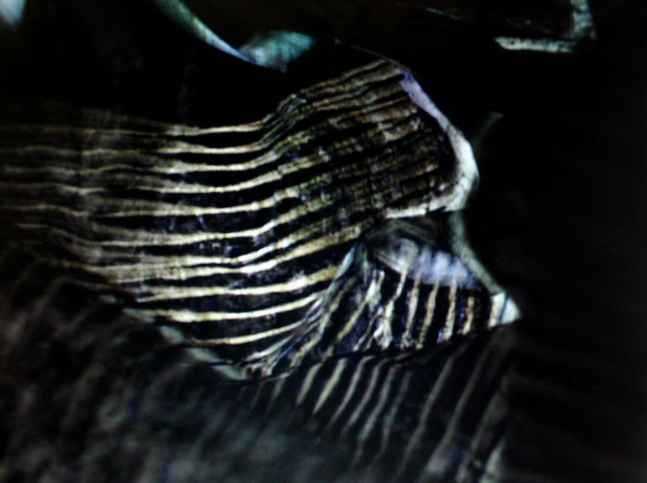 folded-world.jpg