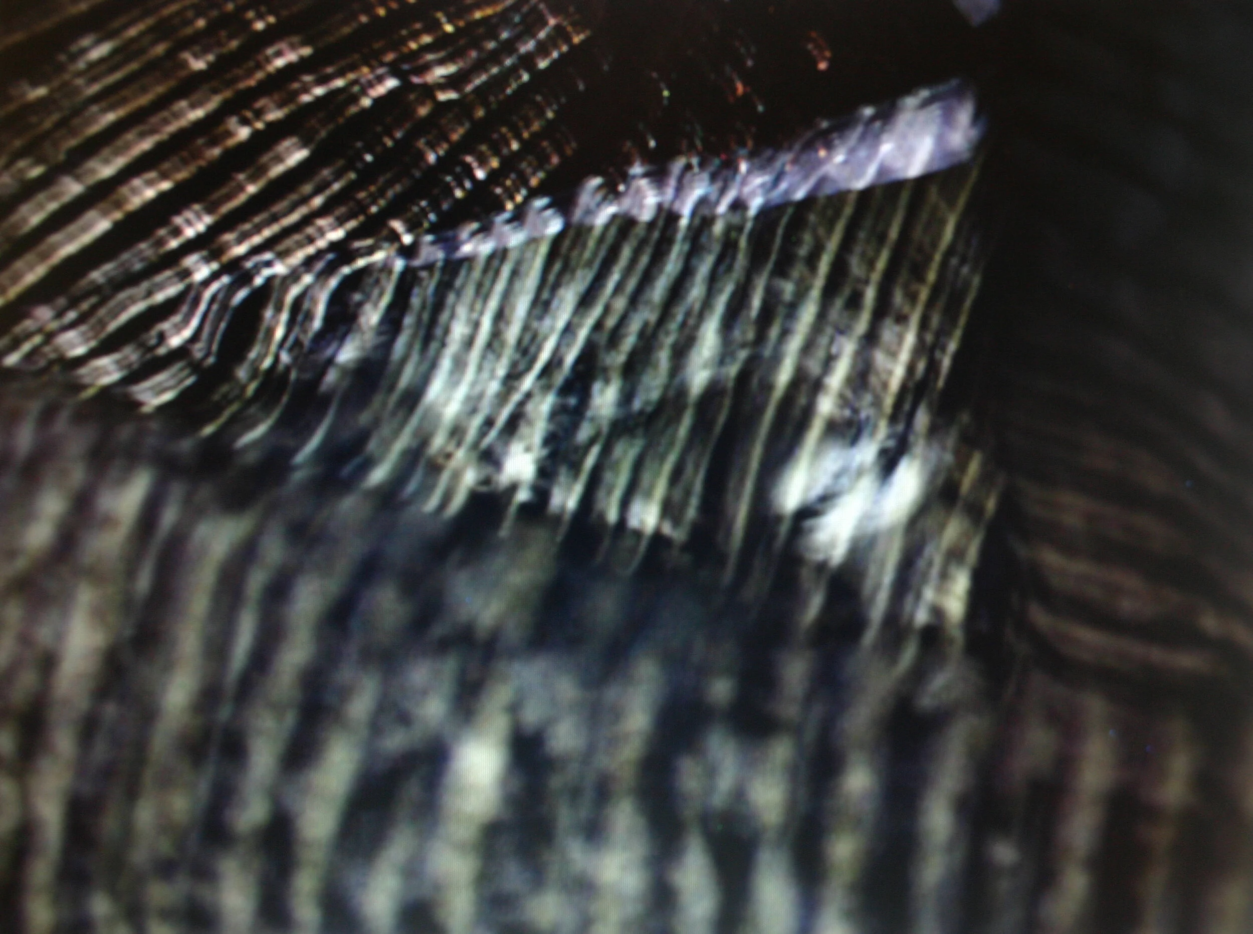 lines-02.jpg