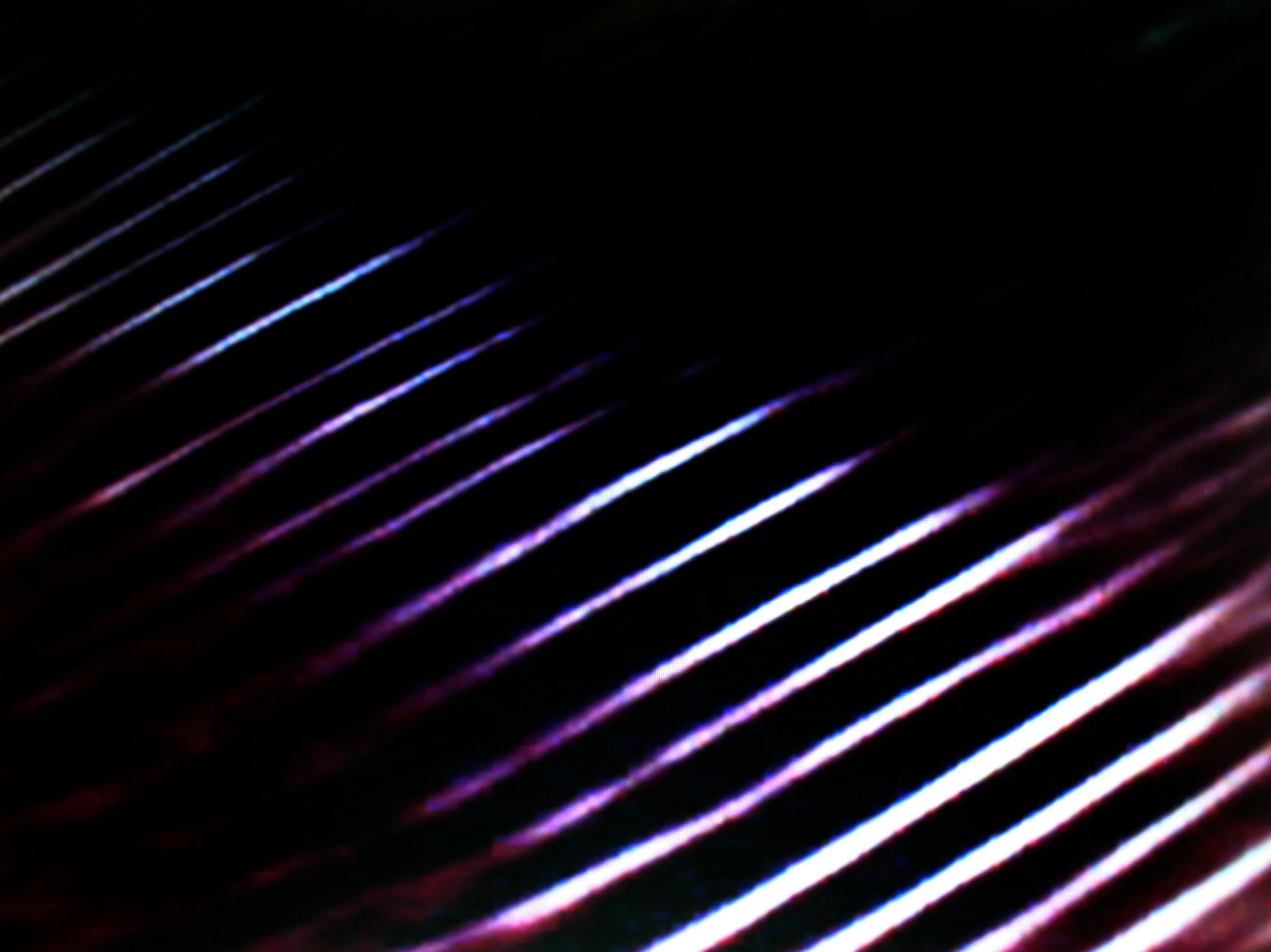 lines-03.jpg