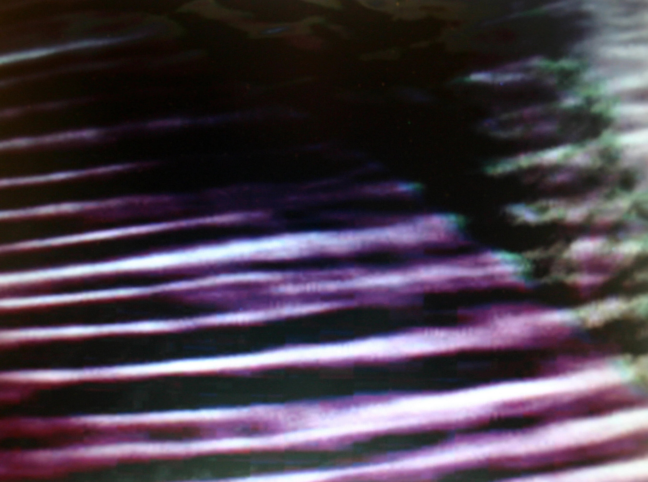 lines-04.jpg