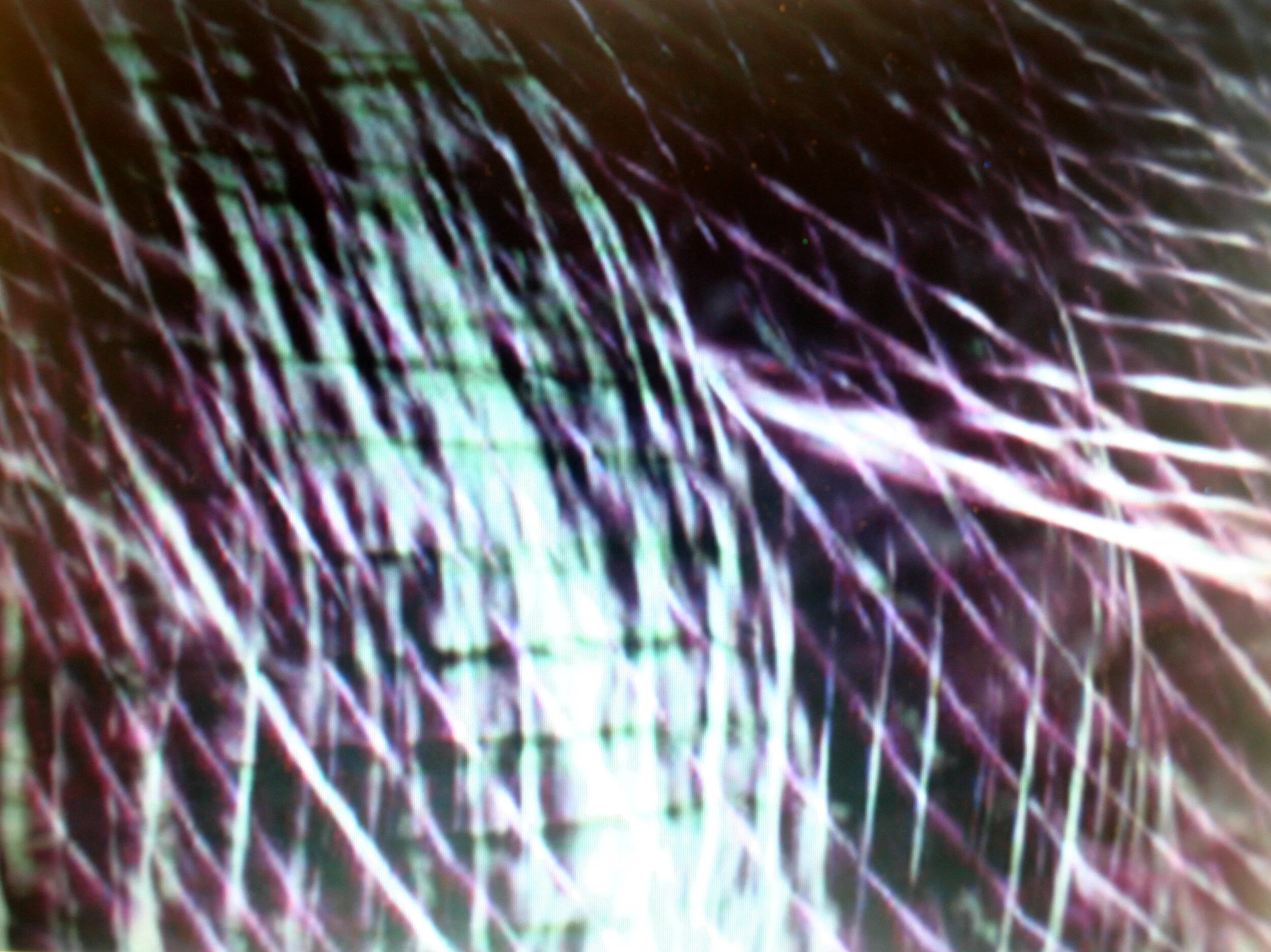 mesh-01.jpg