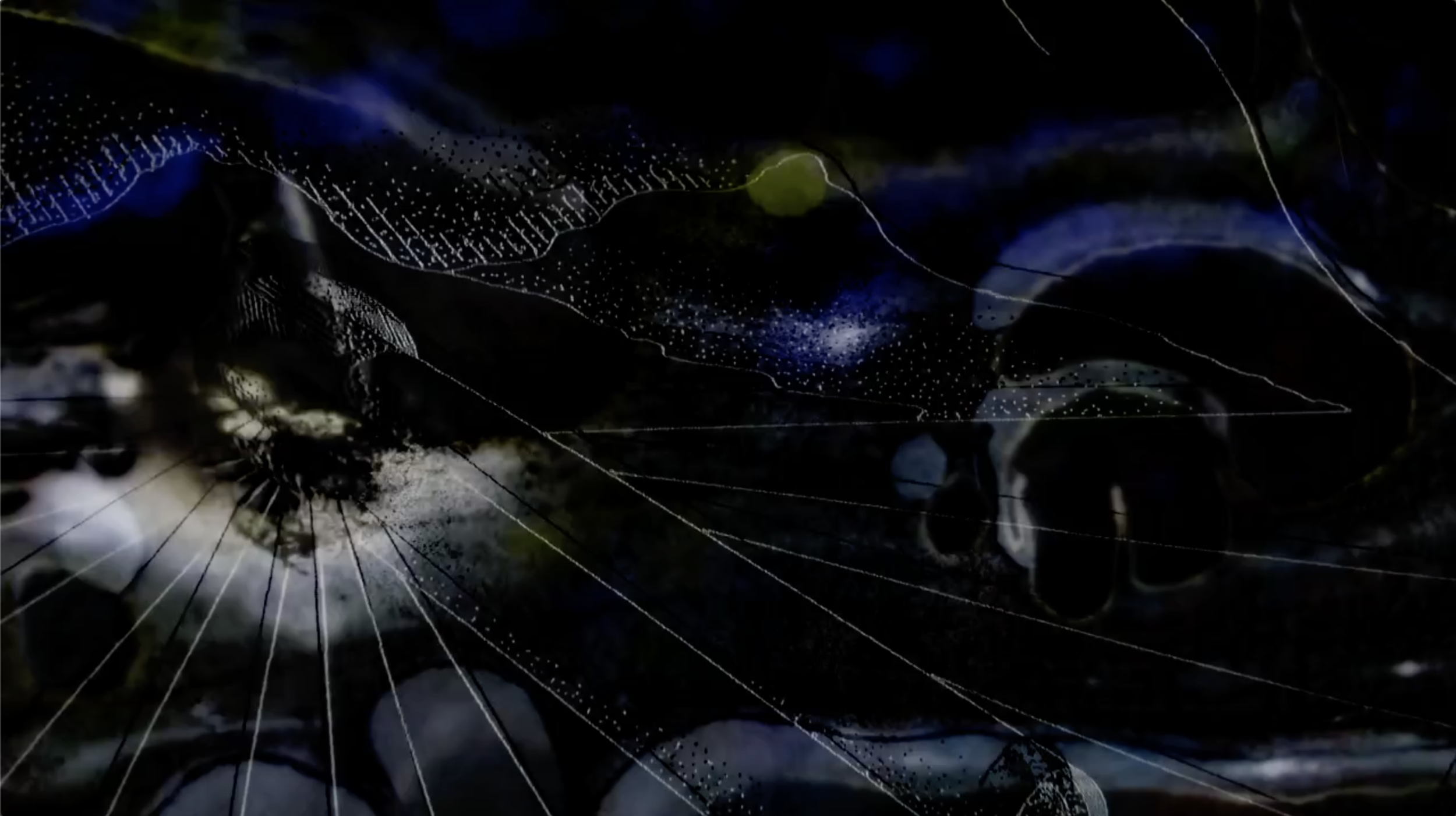 100Millions-STILL-01.png