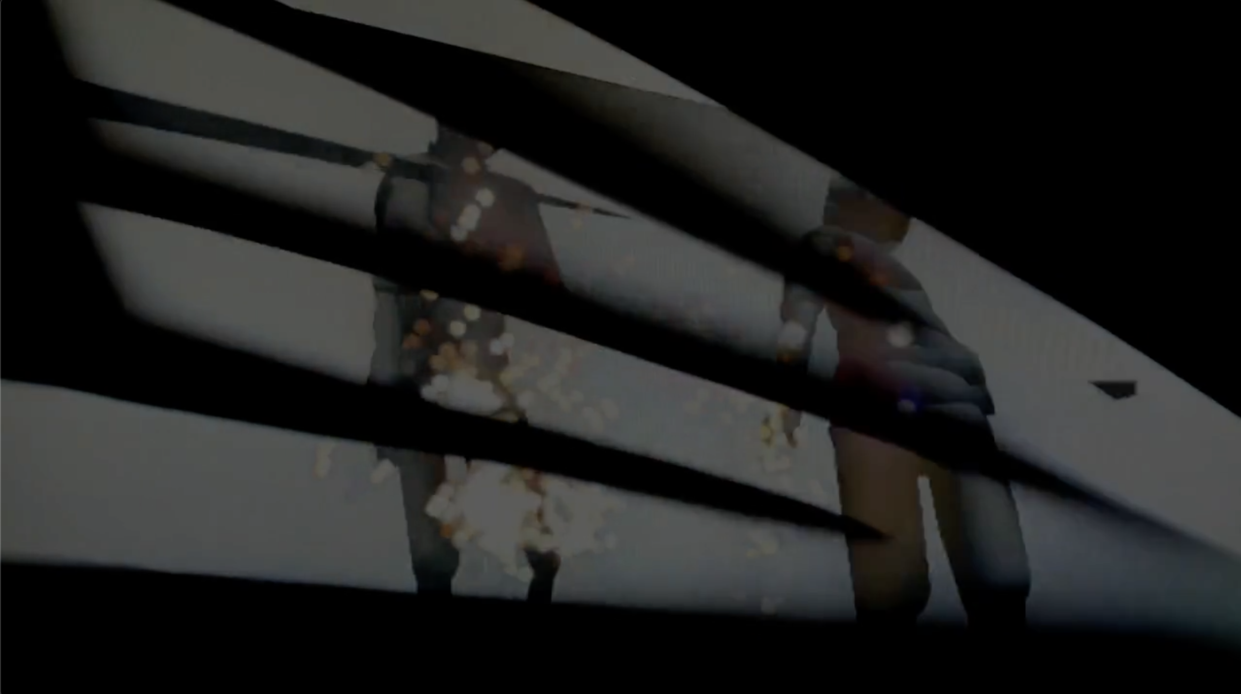AAFF-STILL-03.png