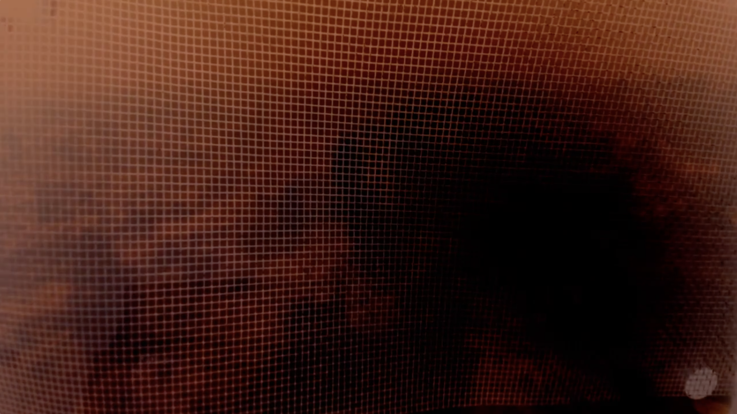 AAFF-STILL-06.png